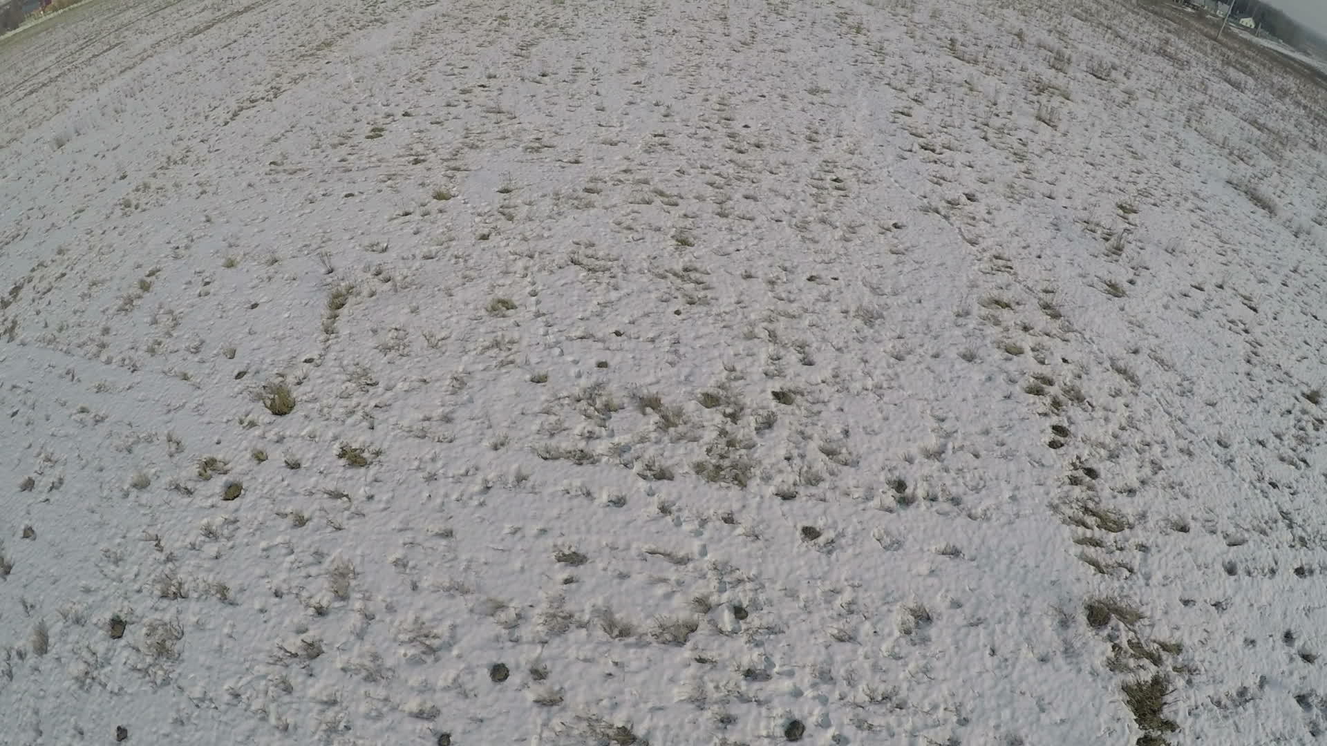 冬天的雪田和俄罗斯村庄的空中风景视频的预览图