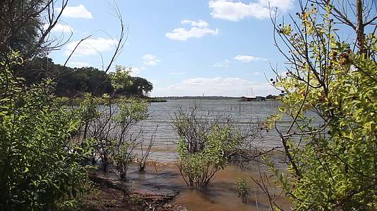 德克萨斯湖葡萄湖自然景点视频的预览图