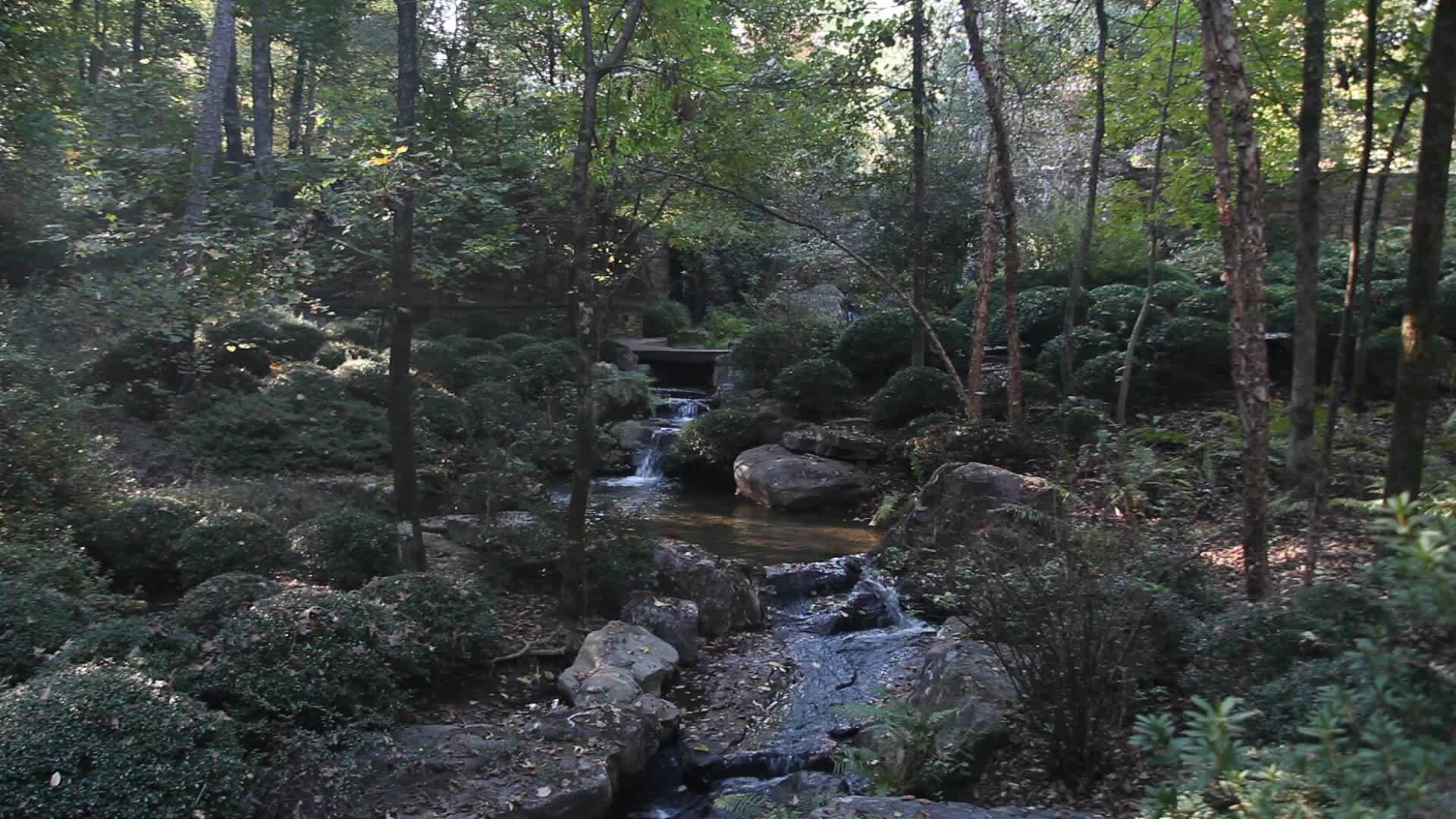 Arkansas的自然场景视频的预览图