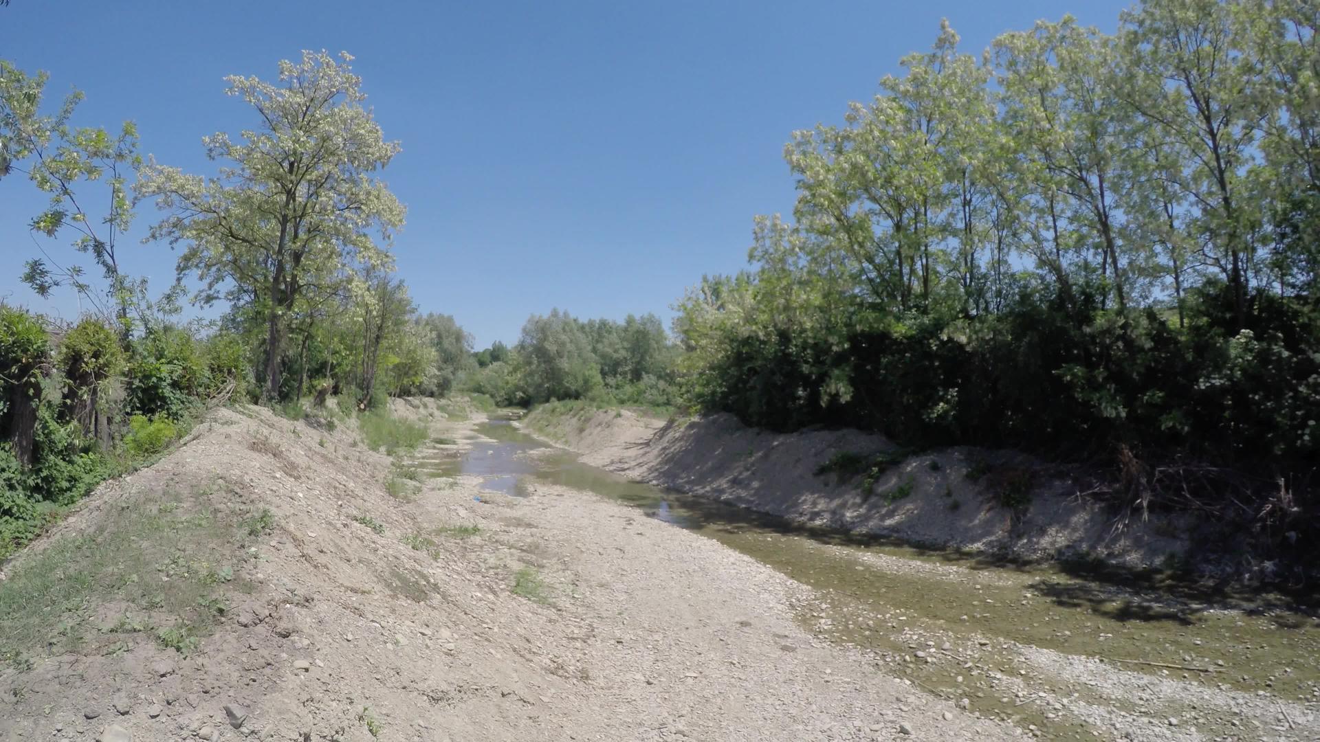 夏日的小溪视频的预览图
