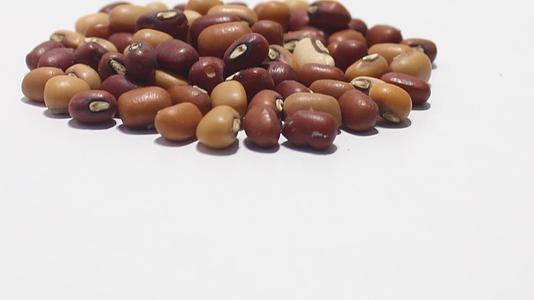 大豆的白色背景视频的预览图