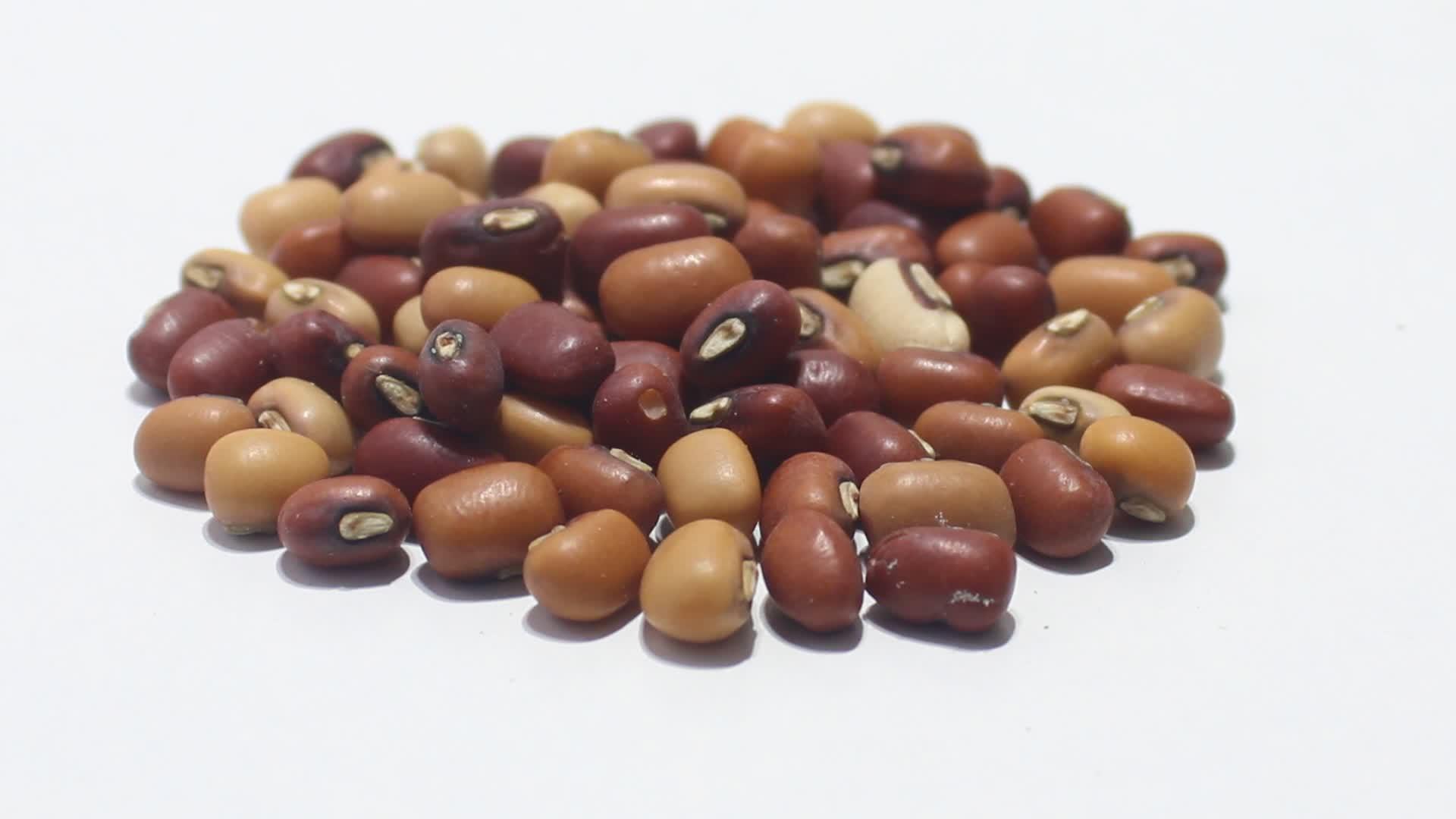 大豆的白色背景视频的预览图