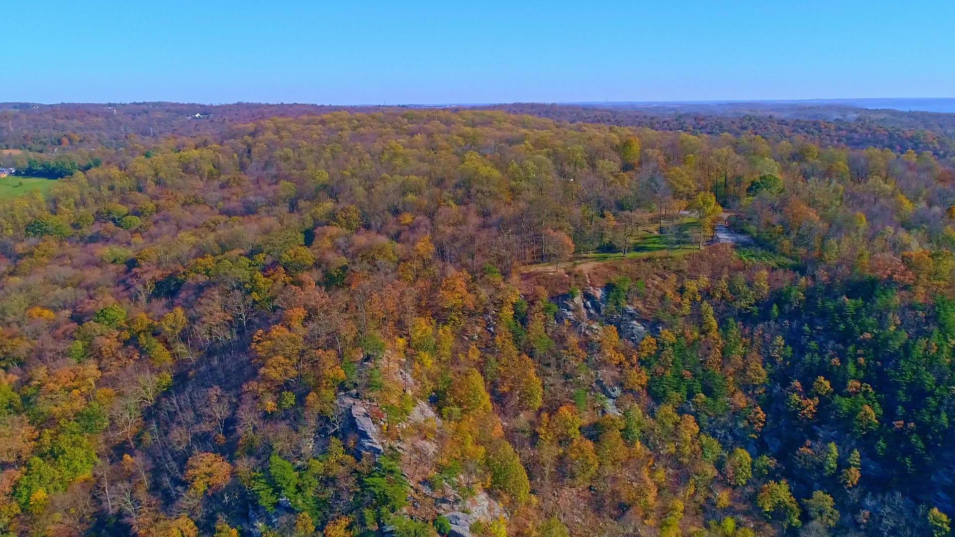 观察沿着一条主要河流的秋树的颜色视频的预览图