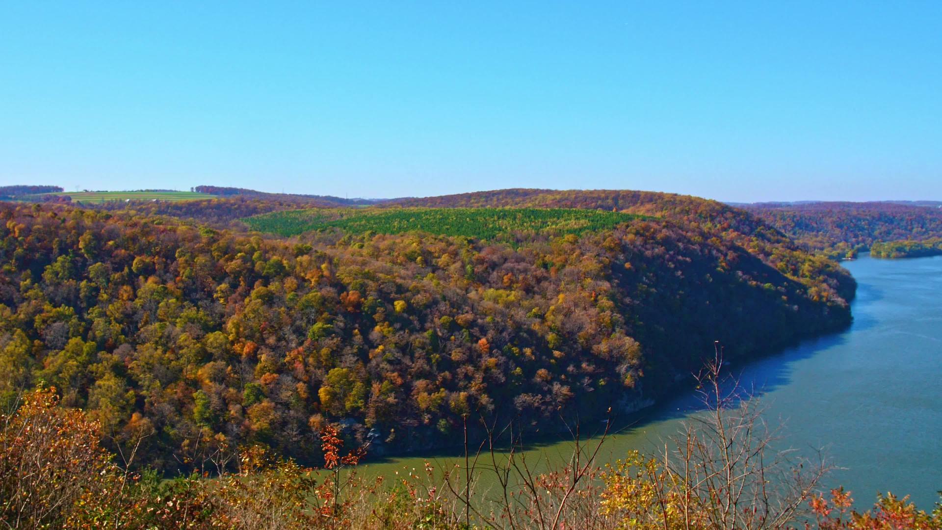 在阳光明媚的秋天你可以沿着一条主要的河流看到秋天树木的颜色视频的预览图