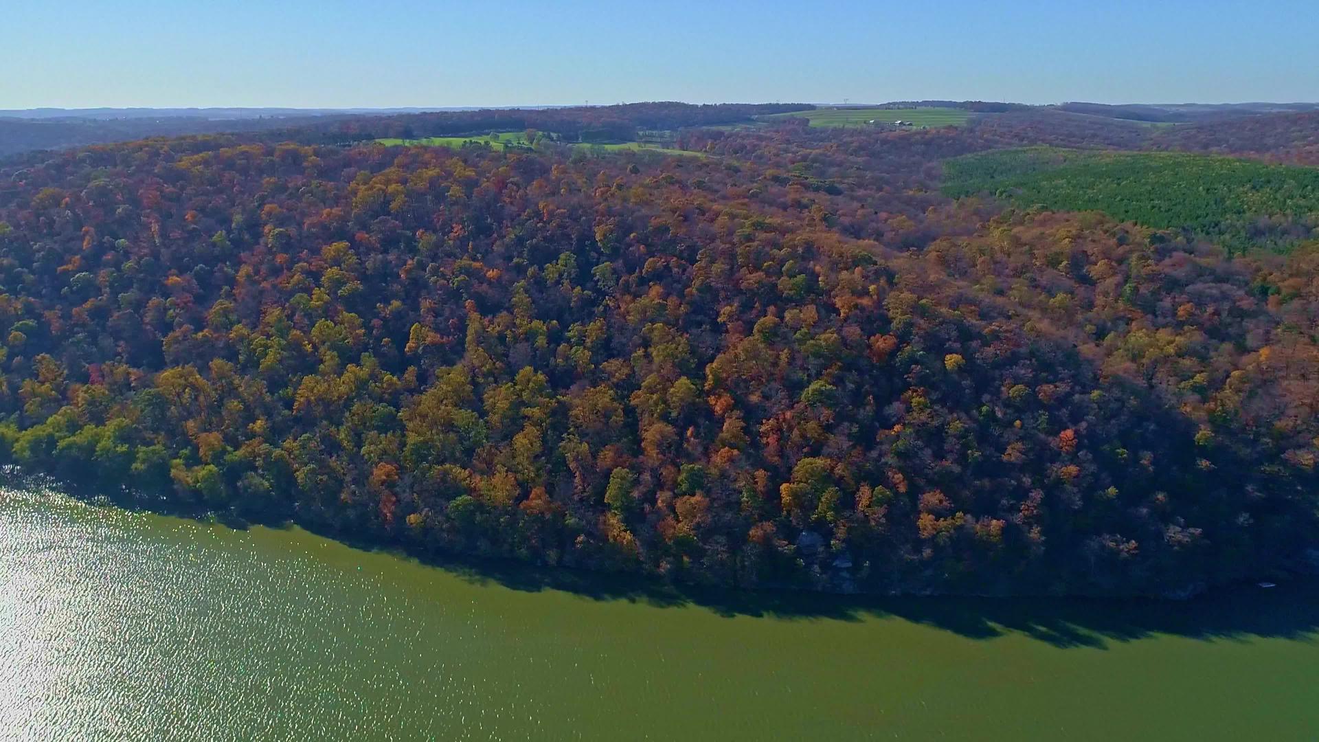 沿着一条主要河流的秋树在空中观察后拉风景视频的预览图