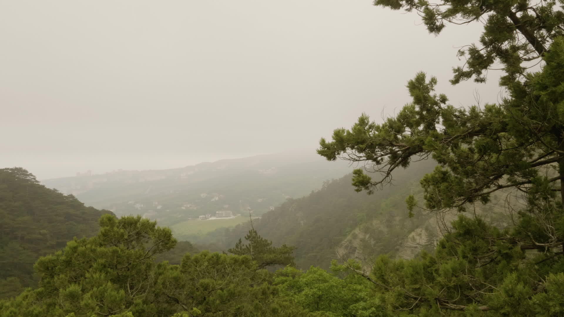 绿色峡谷山的美景穿过雾中的镜头视频的预览图