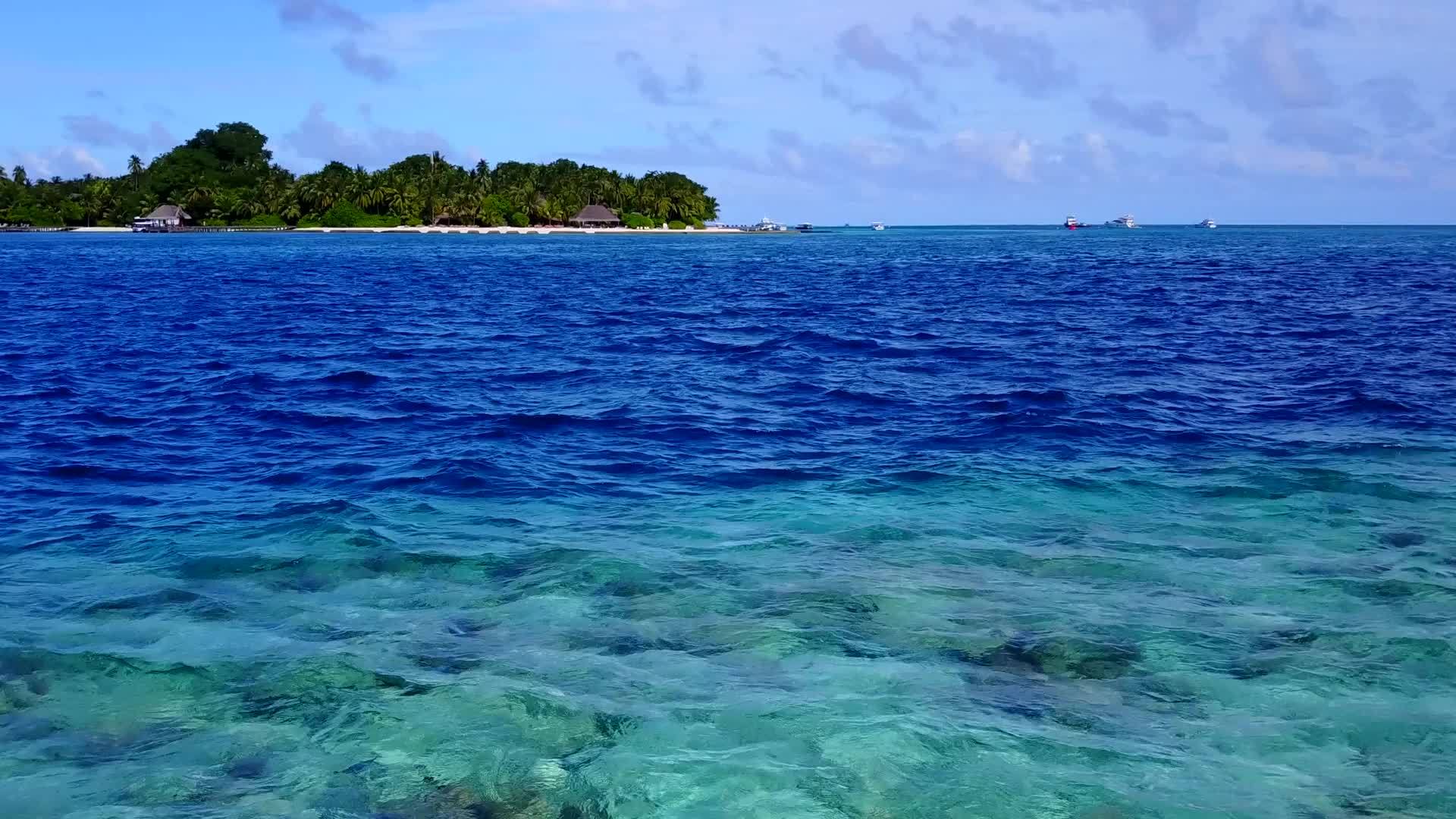 阳光明媚的豪华海景在海平面上靠近棕榈树的白色沙底浅白色视频的预览图
