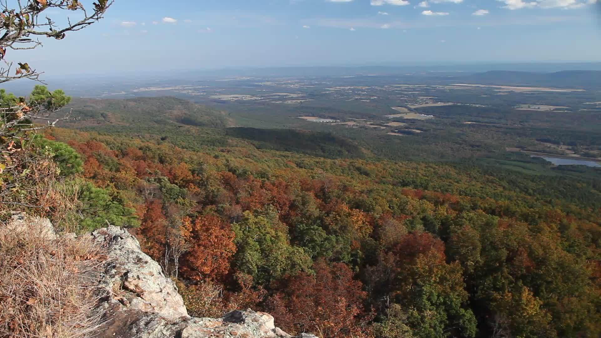 Arkansas的自然场景视频的预览图