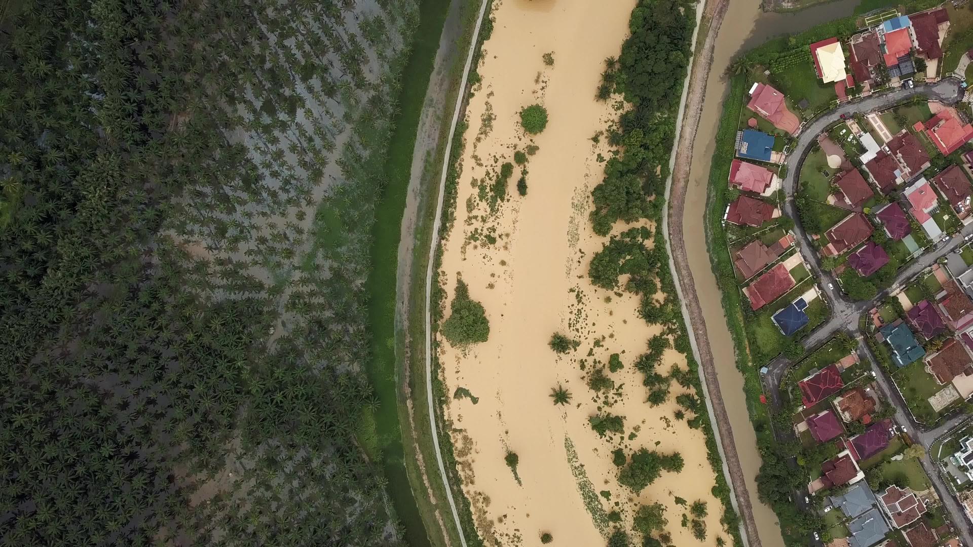 观察河流洪水和油棕种植园视频的预览图