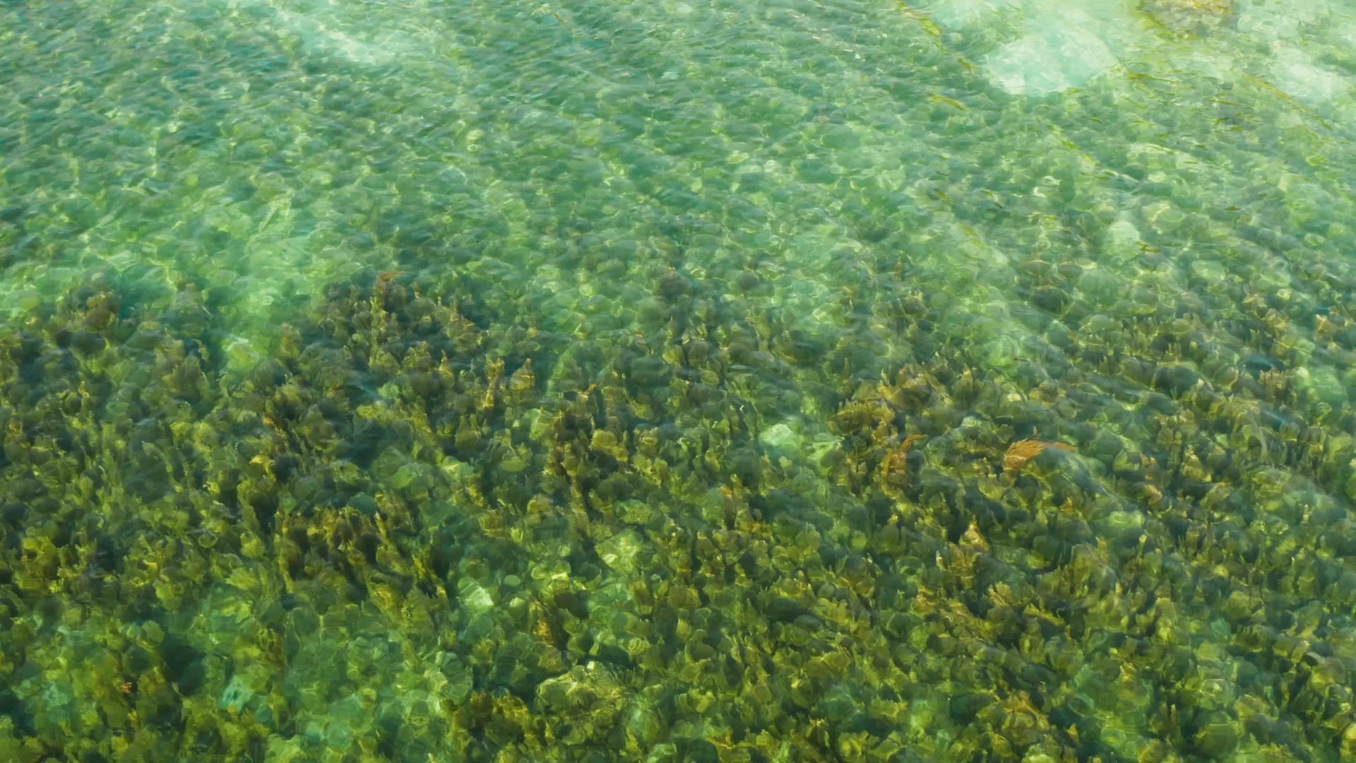 蓝海和环礁湖热带景观视频的预览图