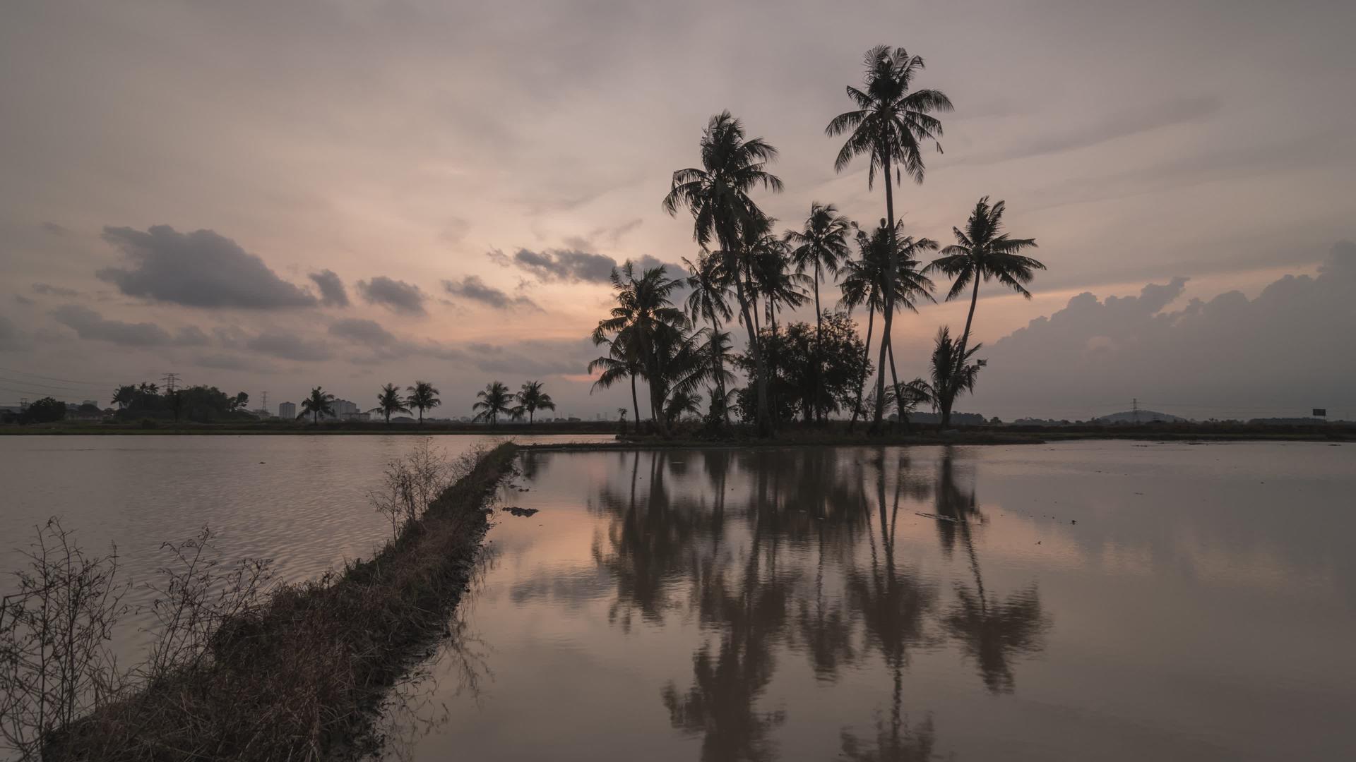 日落时分椰子岛反射视频的预览图