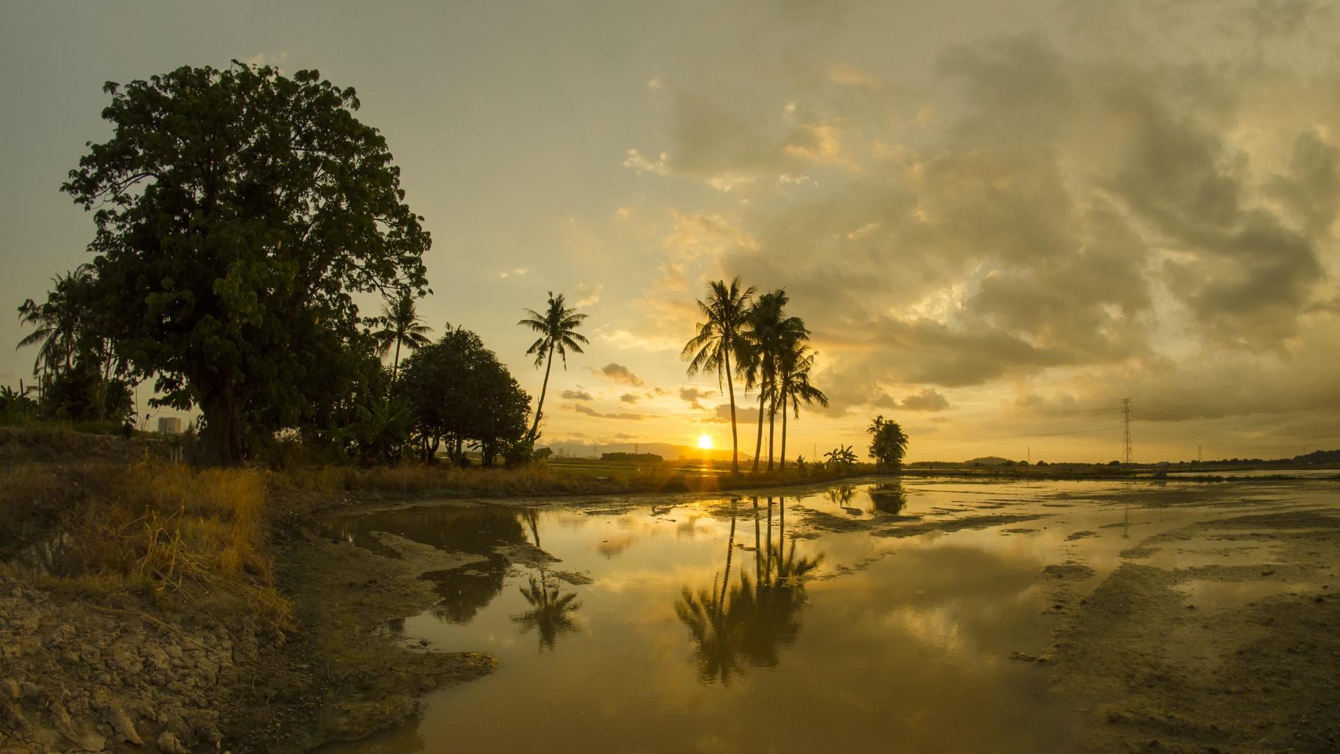 时间倒数反射日落金云飞过椰子树视频的预览图
