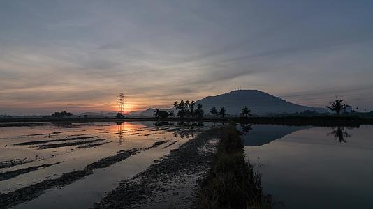 日落的洪水稻田视频的预览图