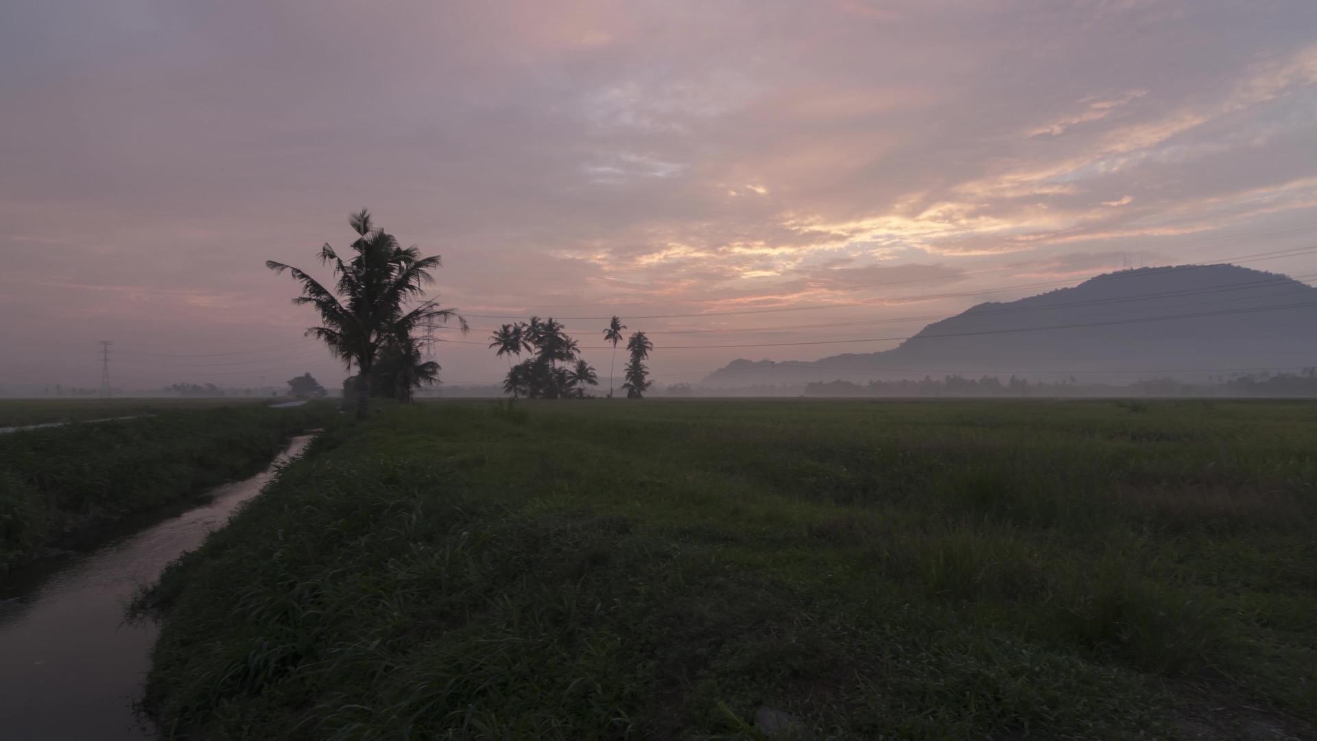 从绿色稻田到正常早晨的跨度视频的预览图