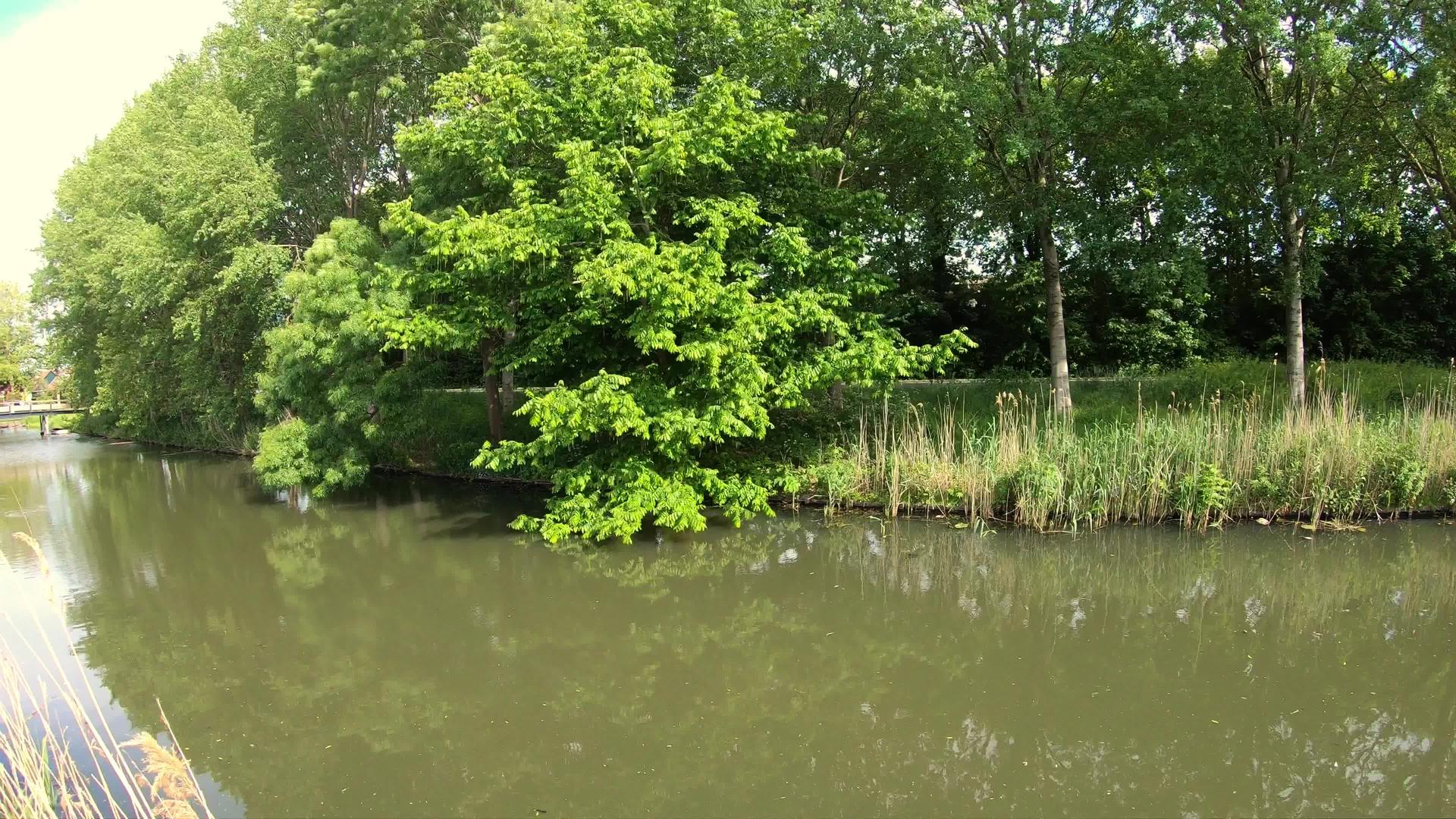 绿湖木桥光滑自然视频的预览图
