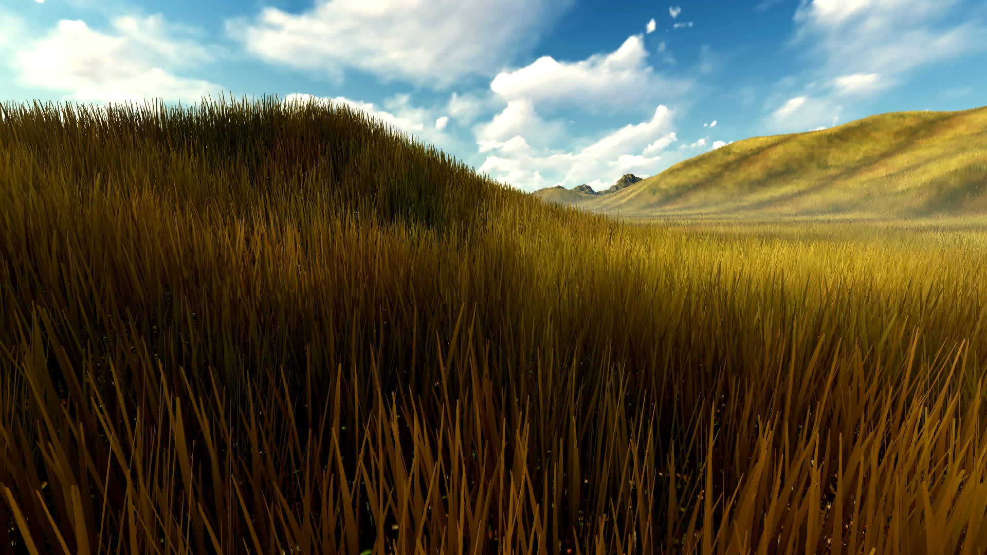 蓝天和白云在风中吹拂着高高的草地视频的预览图