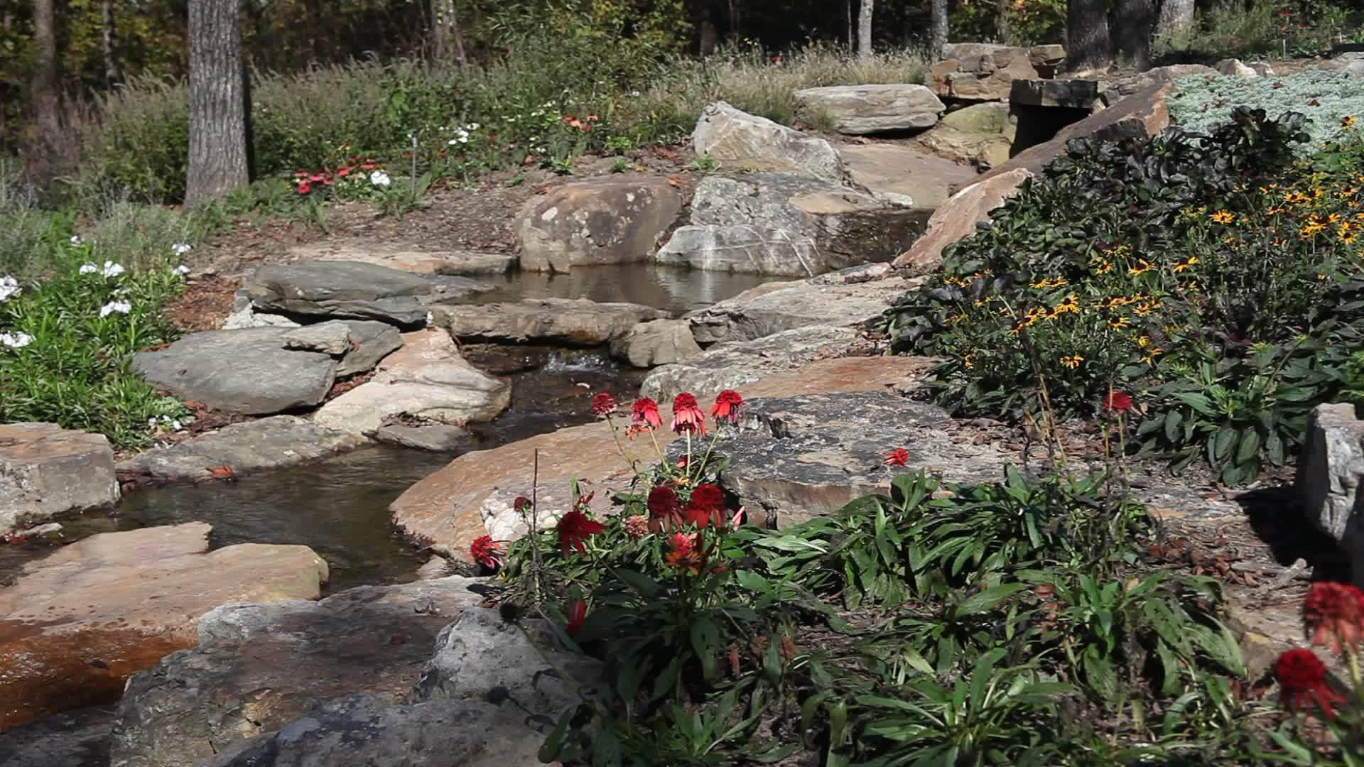 自然景象包括岩花和流水视频的预览图