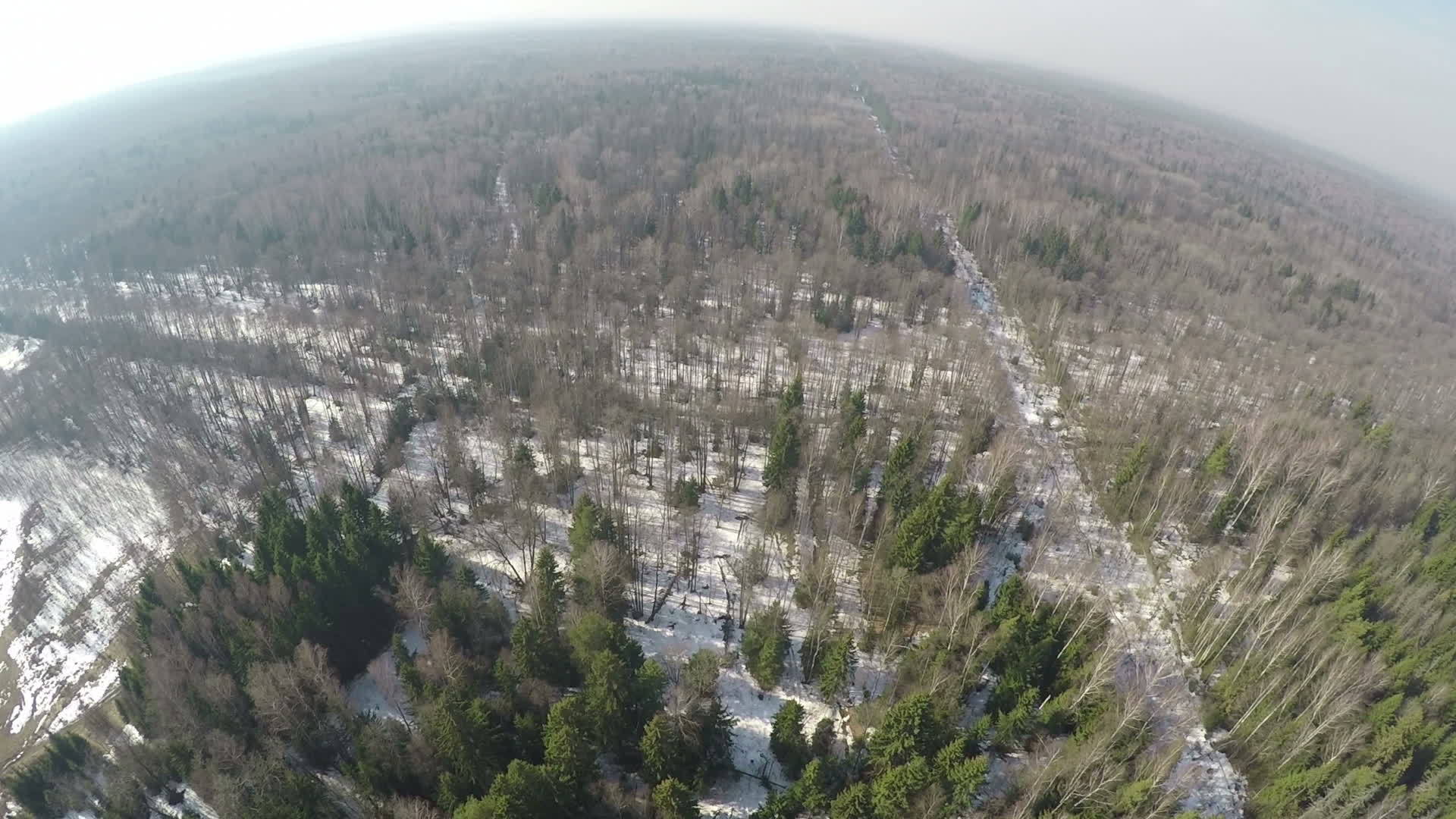 冬季混合森林的空气在空气中全景视频的预览图