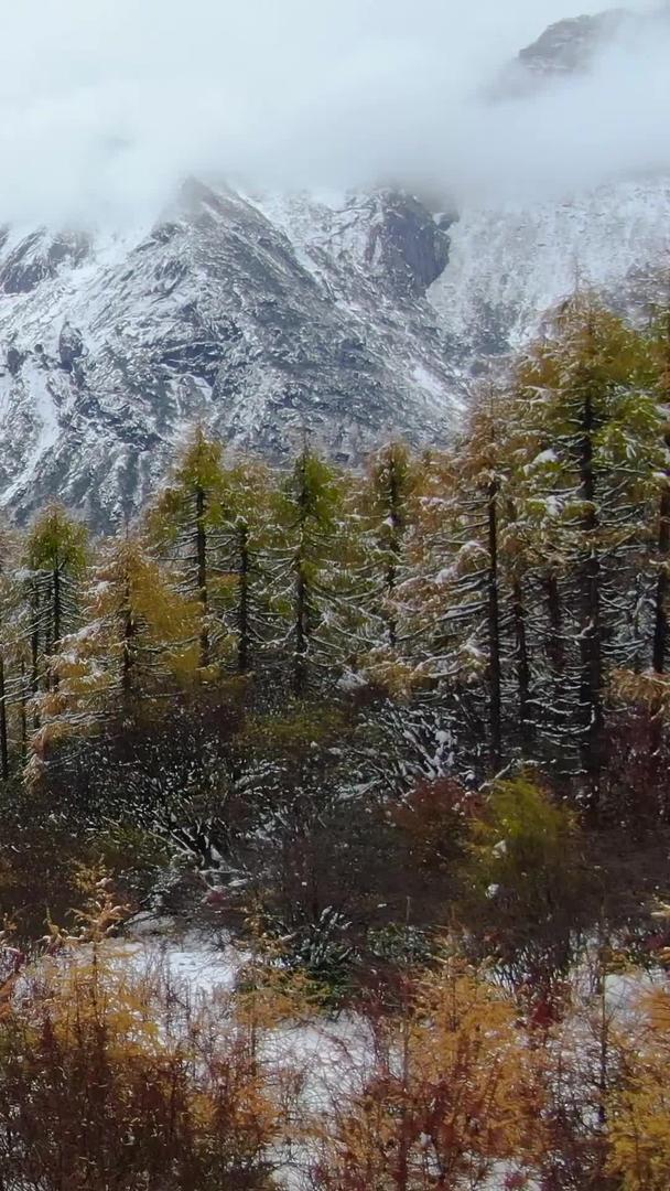 毕棚沟景区燕子岩雪景风光航拍视频视频的预览图