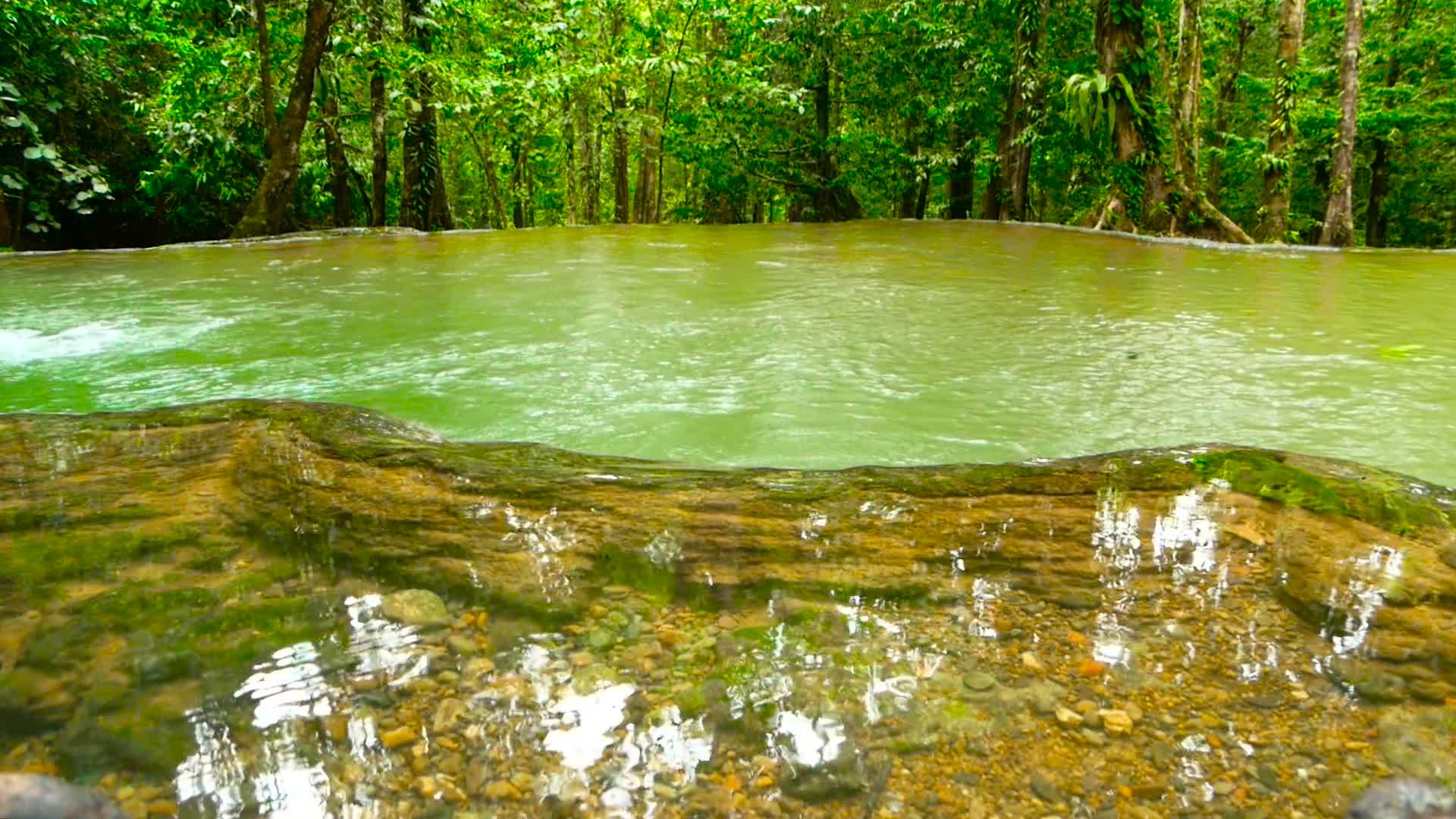 奇异雨林中明亮多彩的天然池塘视频的预览图