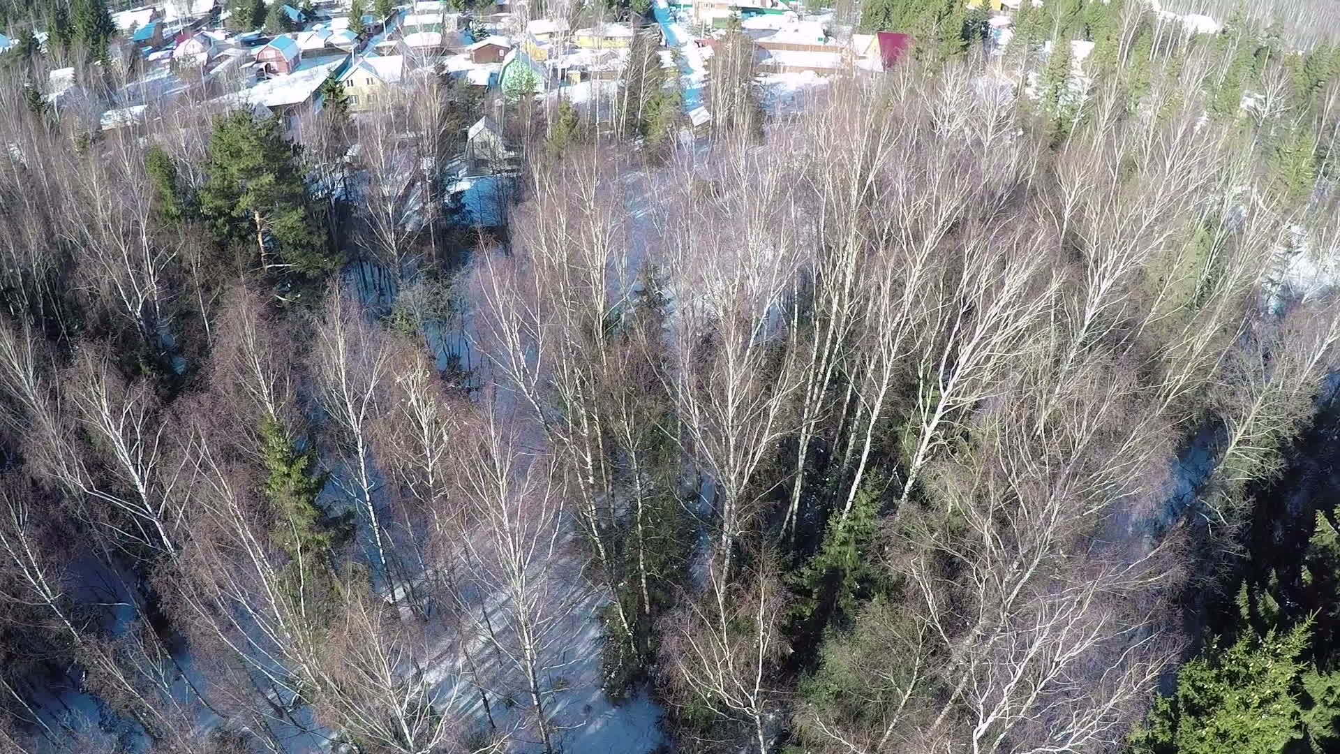 村子里的房子在森林附近的冬天空中视频的预览图