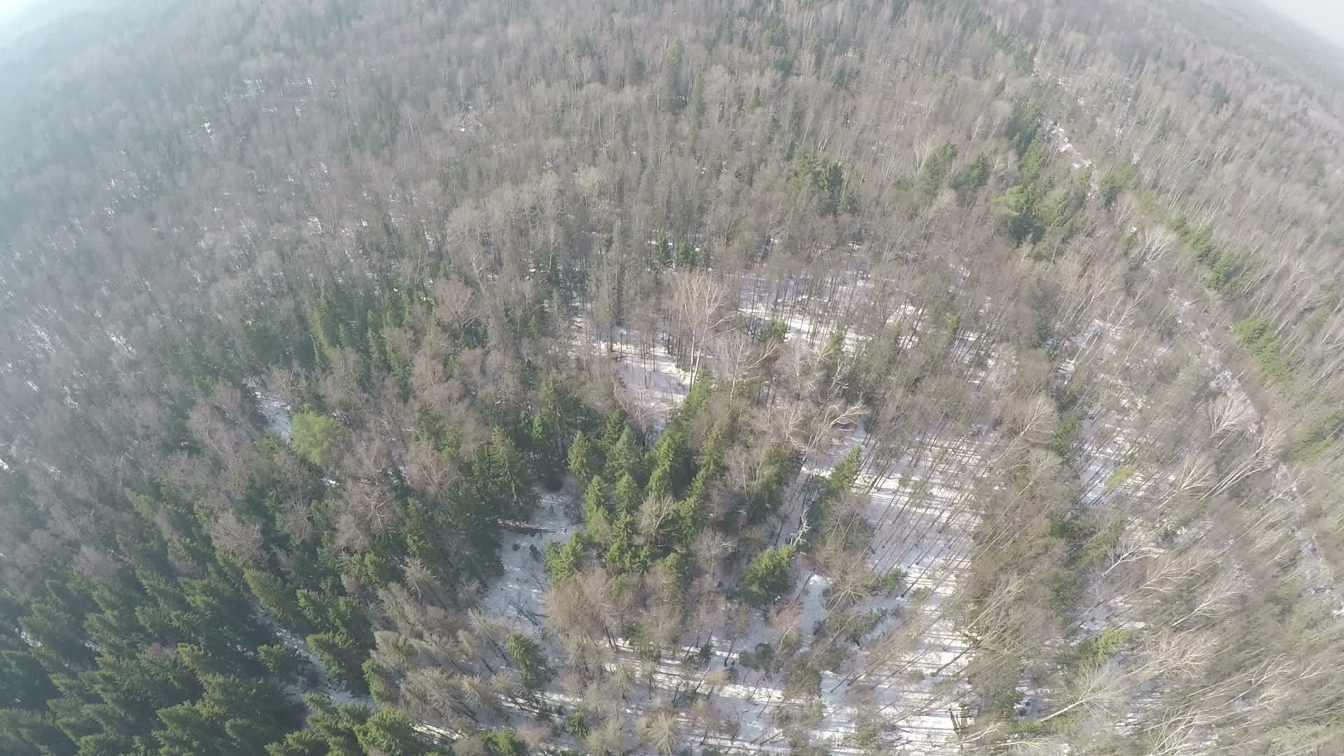 冬季混合森林地貌的空气全景视频的预览图