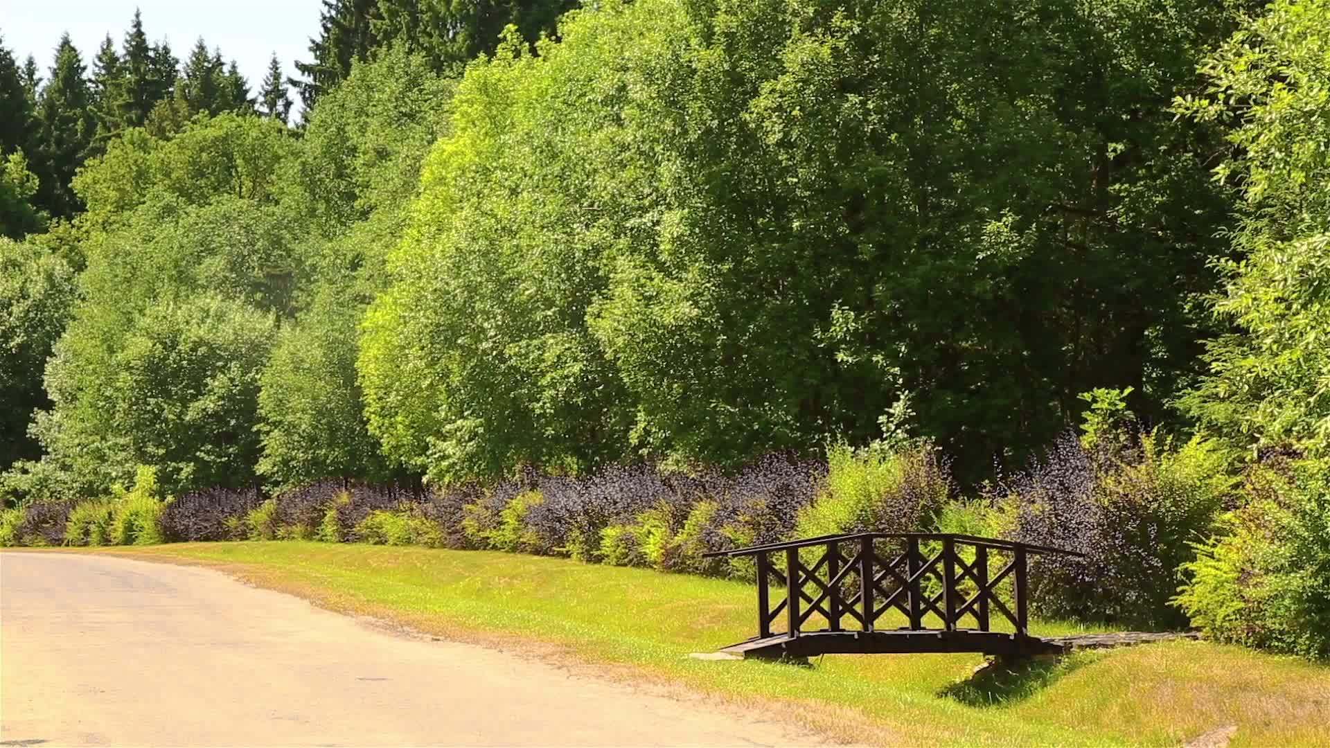 公园区美丽的风景有木桥hd视频的预览图