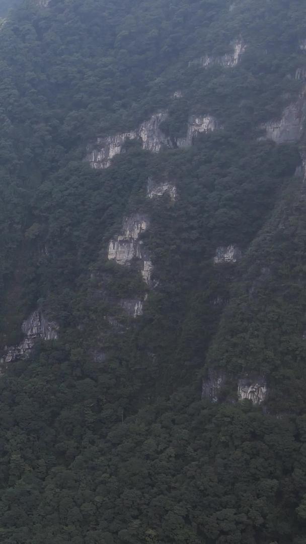 重庆黑山谷九曲画屏国家5A级旅游景区视频的预览图