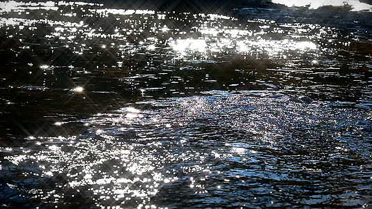 秋秋河流岩石树视频的预览图
