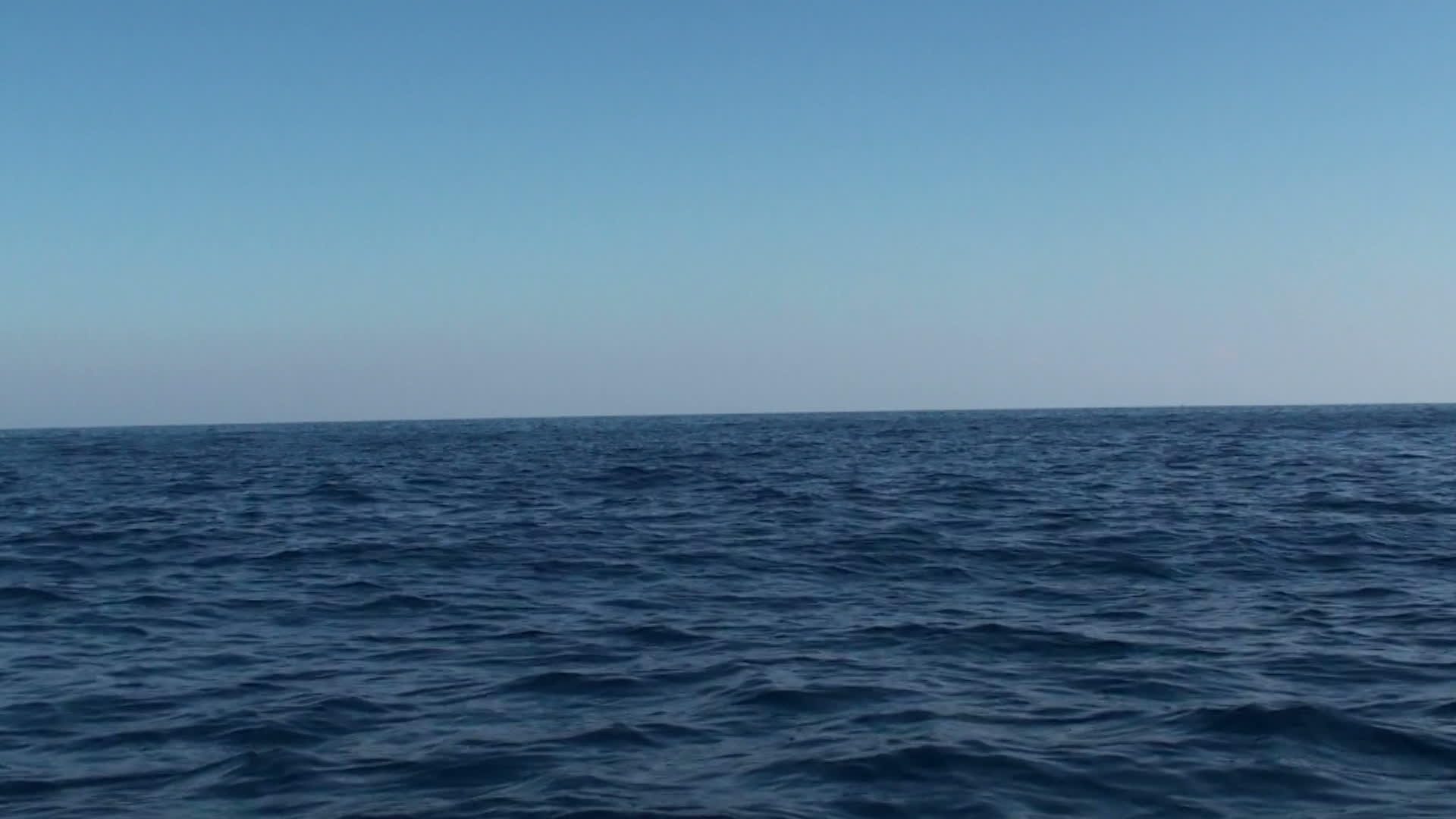 海洋中的眩晕视频的预览图
