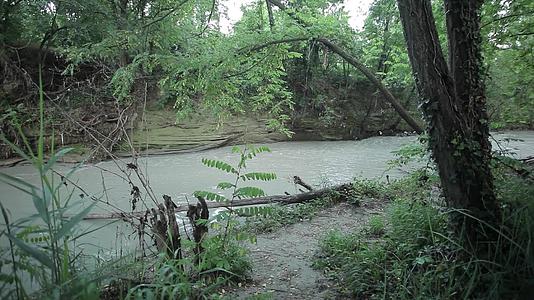 河流是自然的视频的预览图
