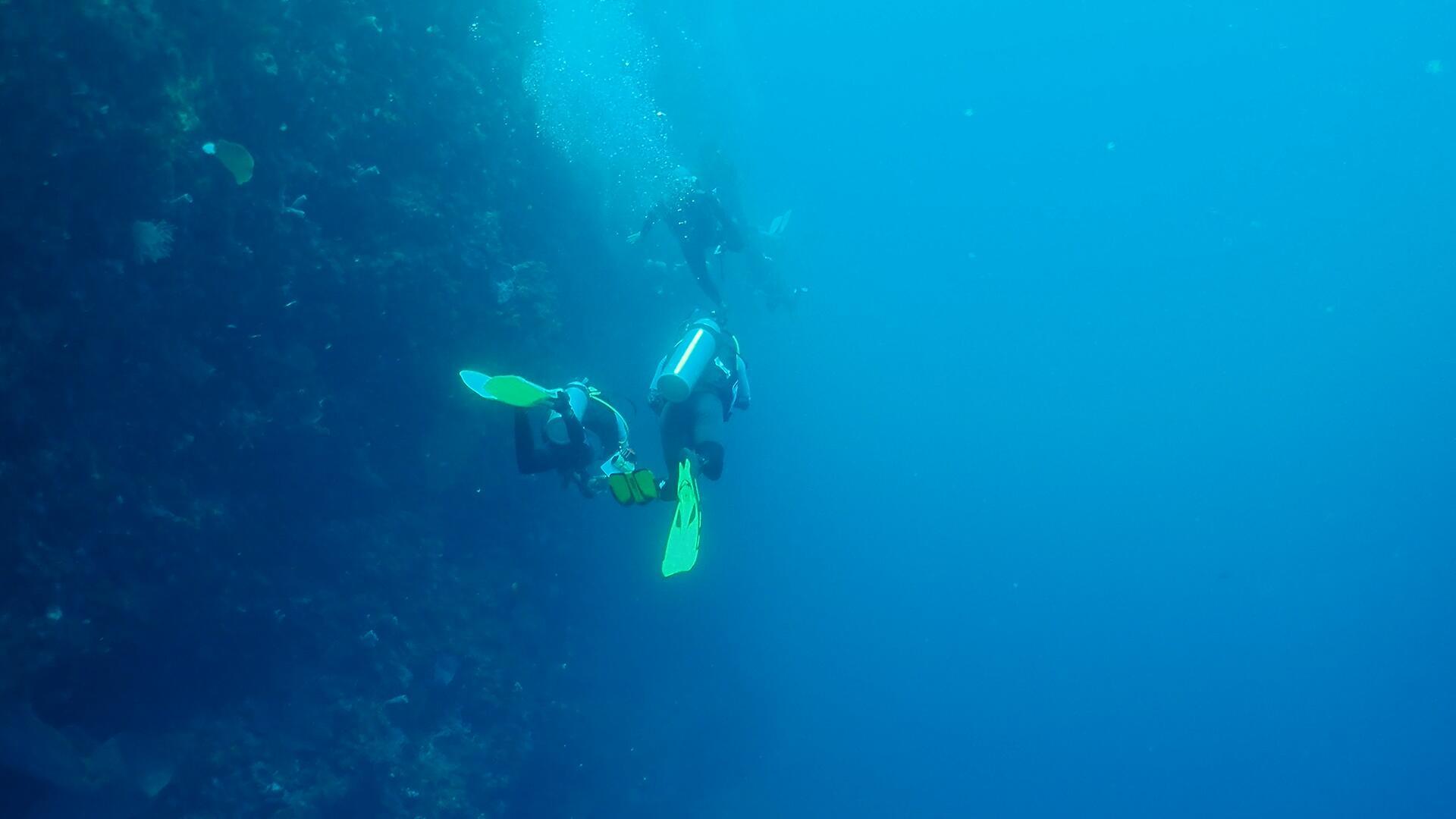 4K海底实拍潜水员潜水视频的预览图