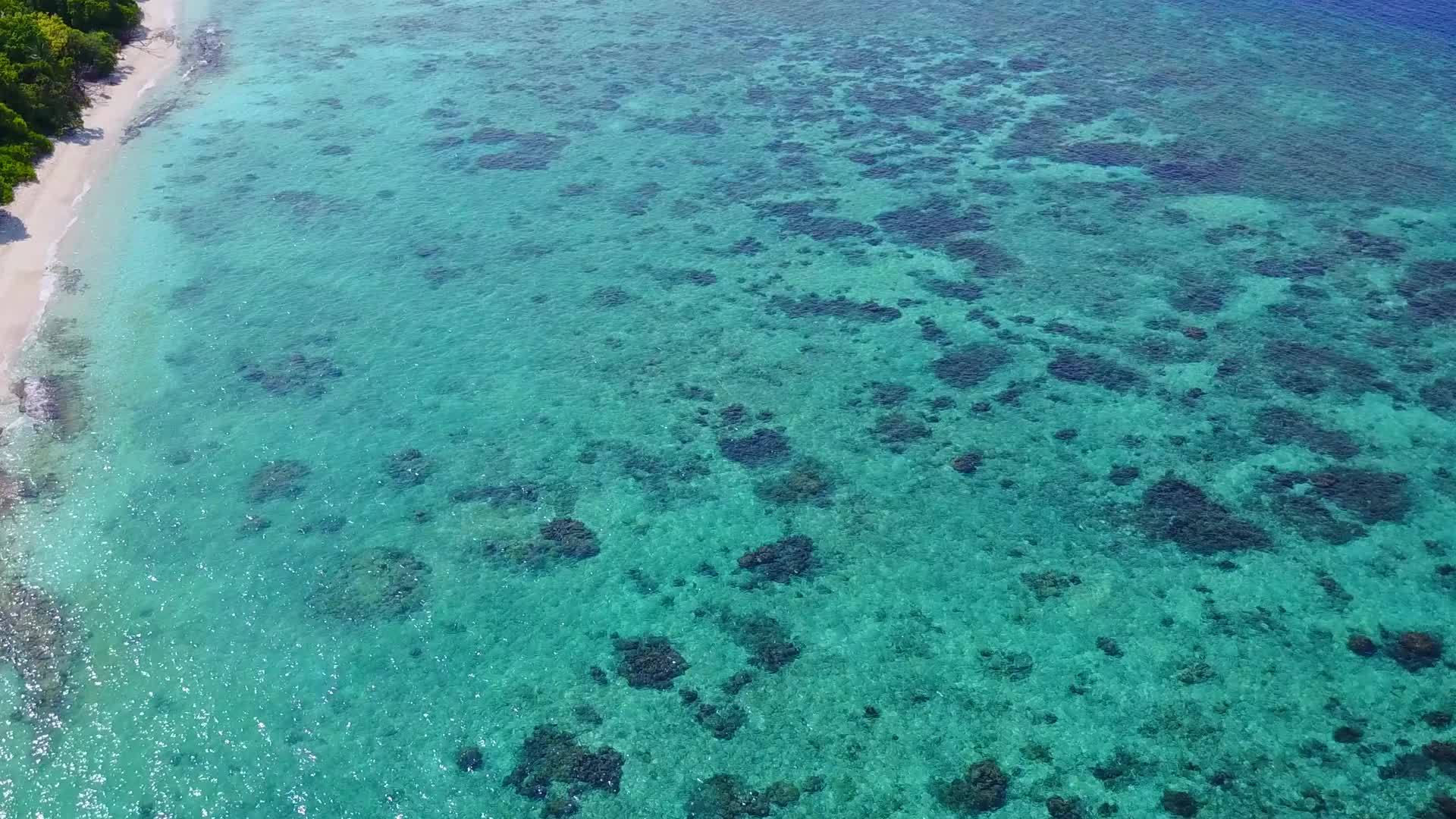 阳光明媚的天空充满了完美的岛屿海滩野生生物视频的预览图