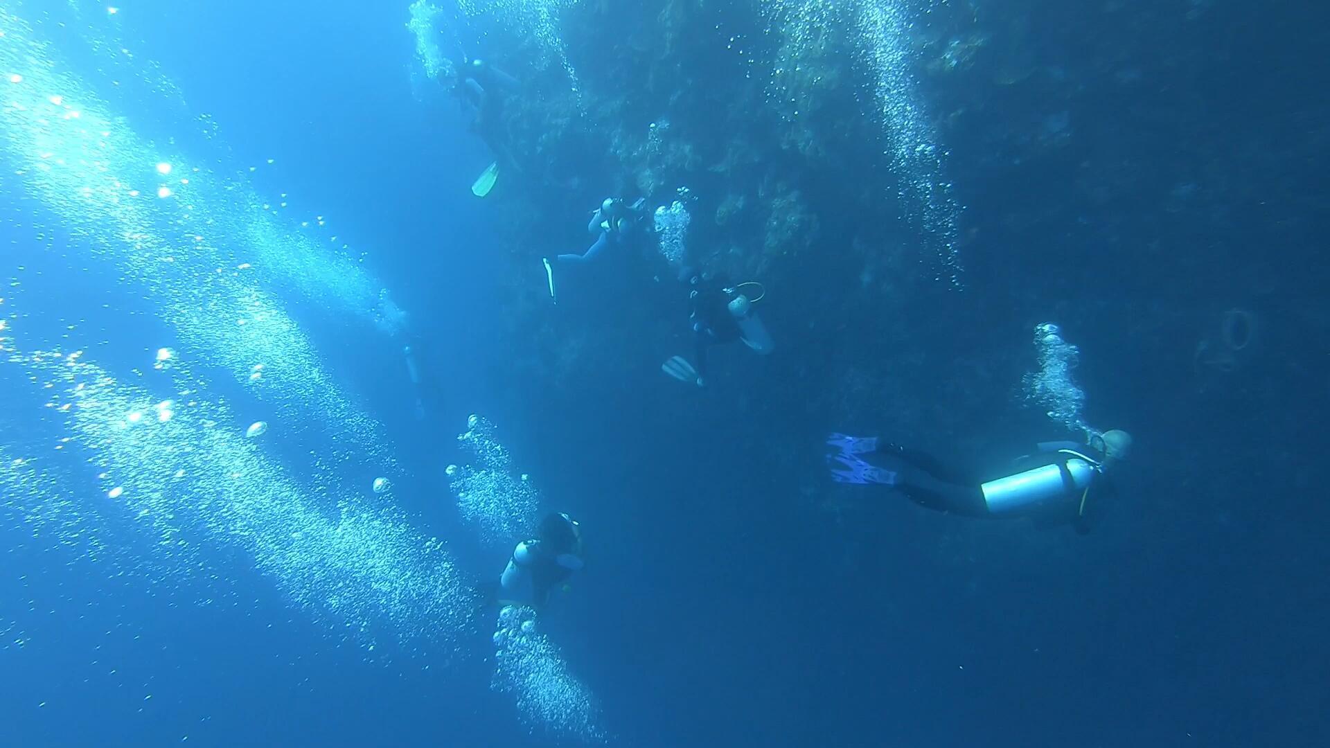 4K海底实拍潜水员视频的预览图