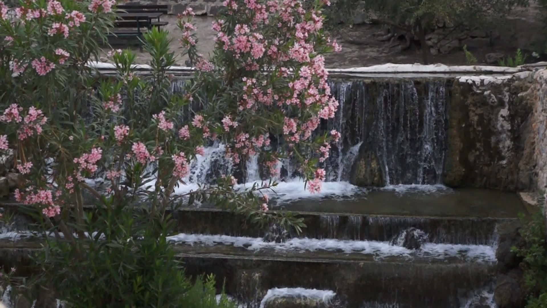 人工瀑布公园1视频的预览图