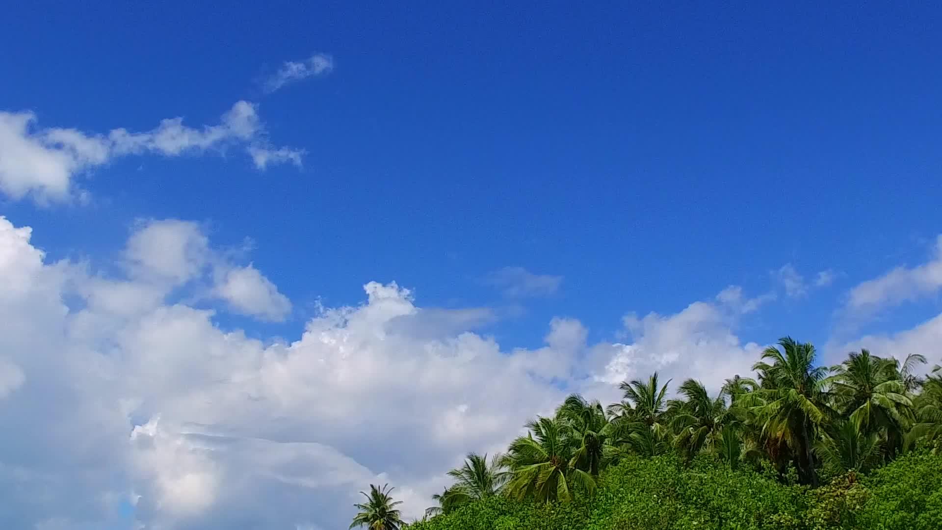 蓝色海洋和珊瑚礁附近明亮的沙滩背景安静的岛屿海滩之旅的广角性质视频的预览图