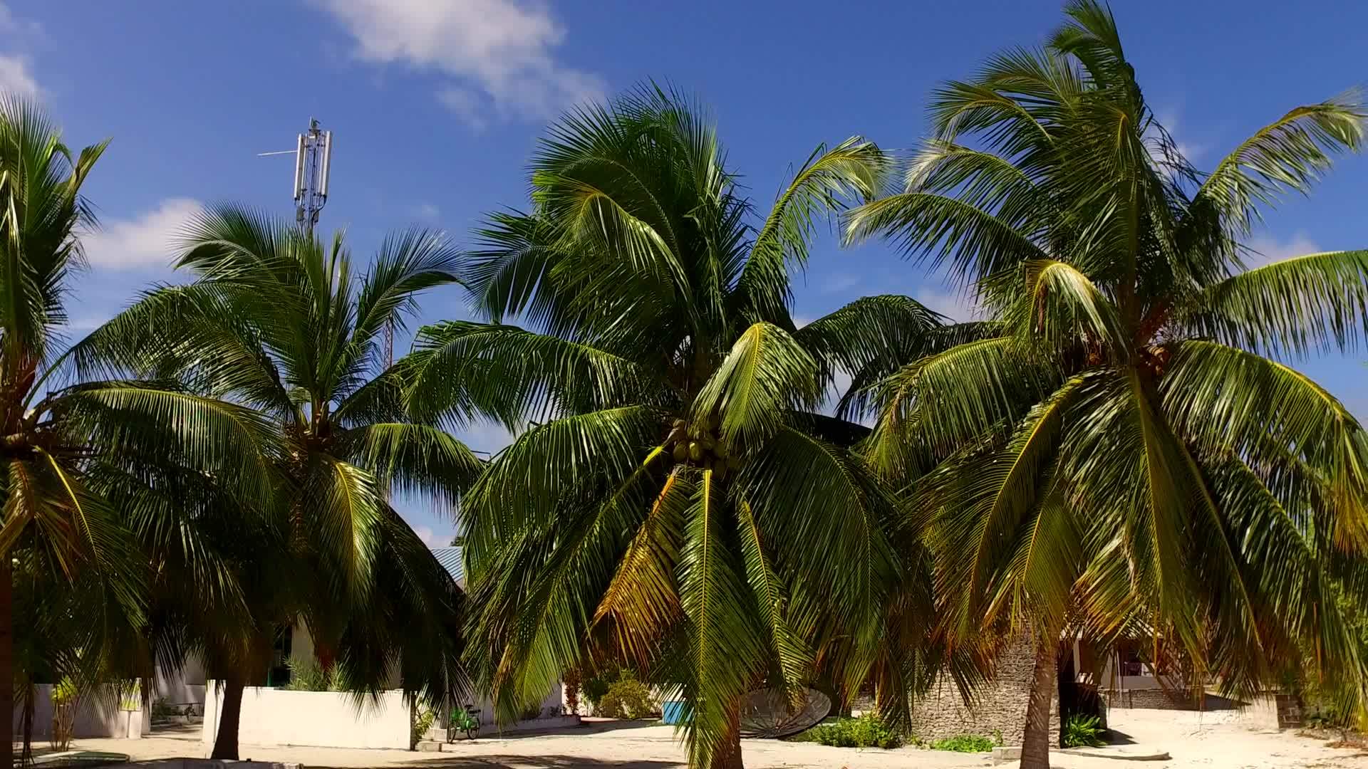 在蓝海和白色海滩的背景下在度假村附近轻松的海滩上航行视频的预览图