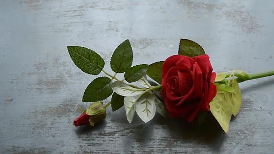 红玫瑰在朴素的地板上自然的静物浪漫的爱情背景主题壁纸视频的预览图