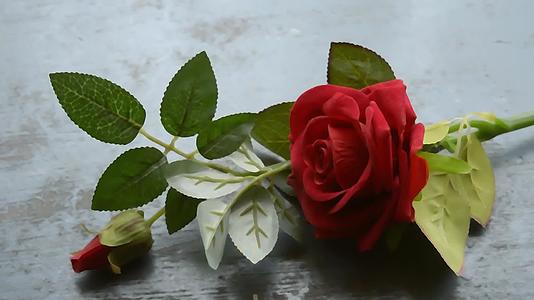 红玫瑰在朴素的地板上自然的静物浪漫的爱情背景主题壁纸视频的预览图