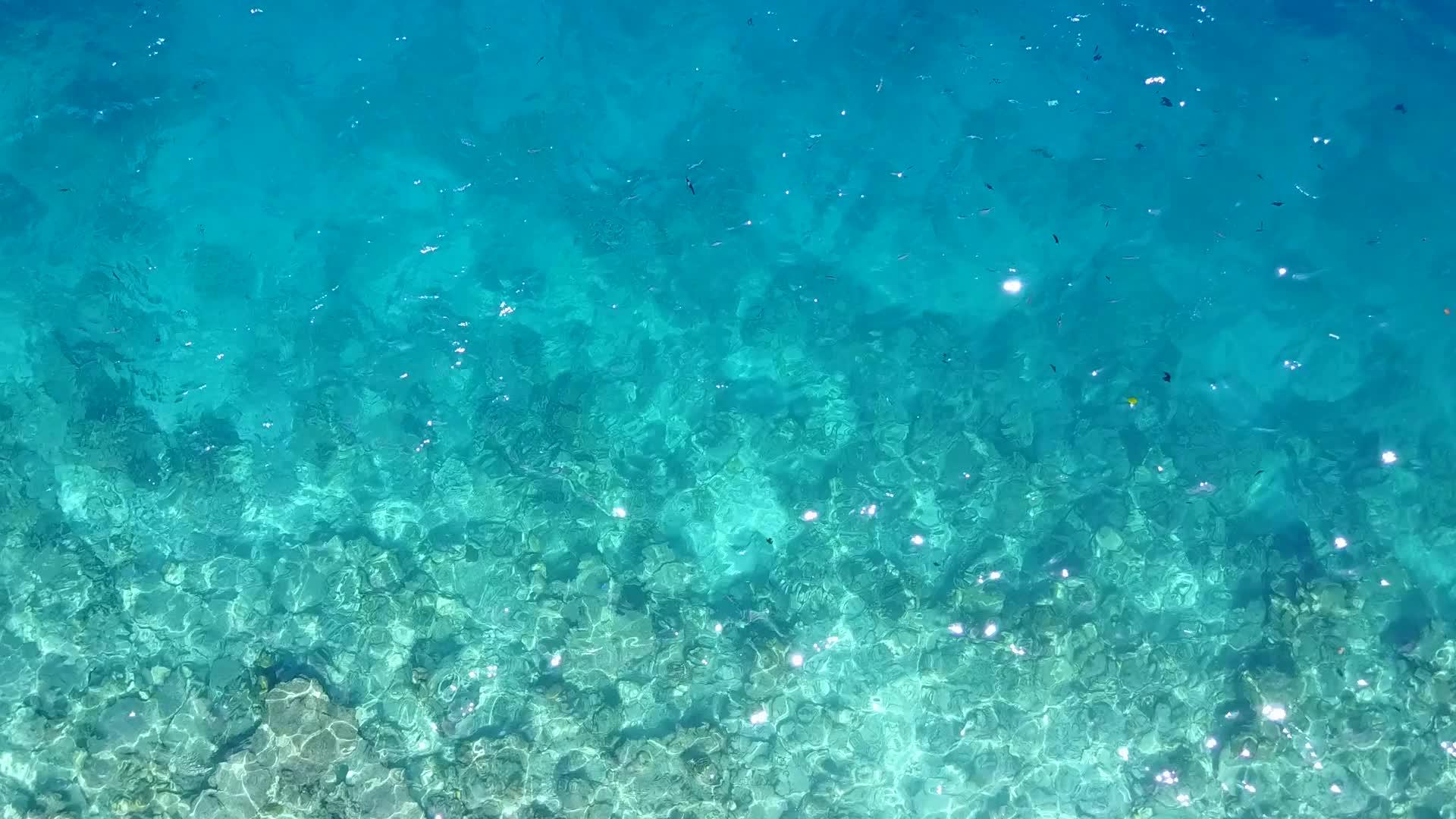 蓝色环礁湖在度假胜地附近的白色沙底蓝色海滩上航行视频的预览图