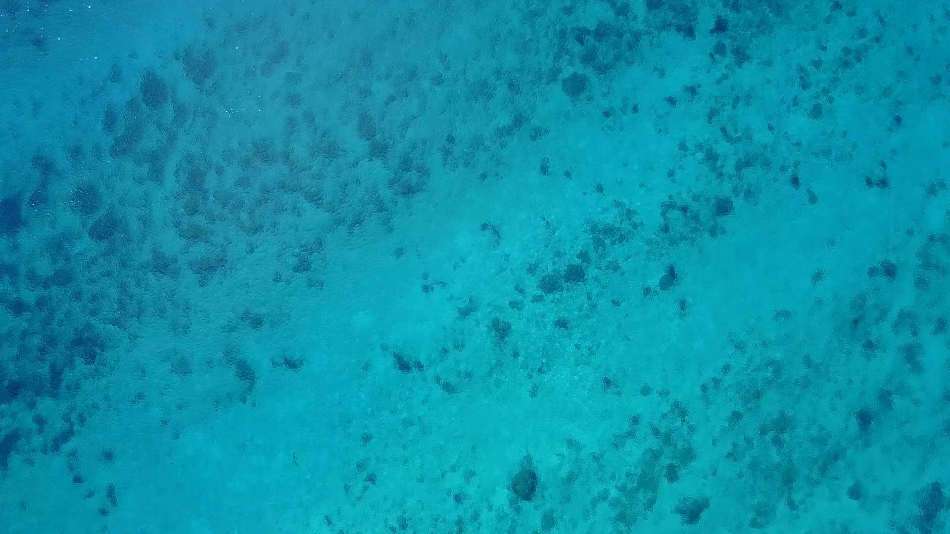 海洋环礁湖海滩由蓝水和棕榈树附近的白沙背景组成视频的预览图