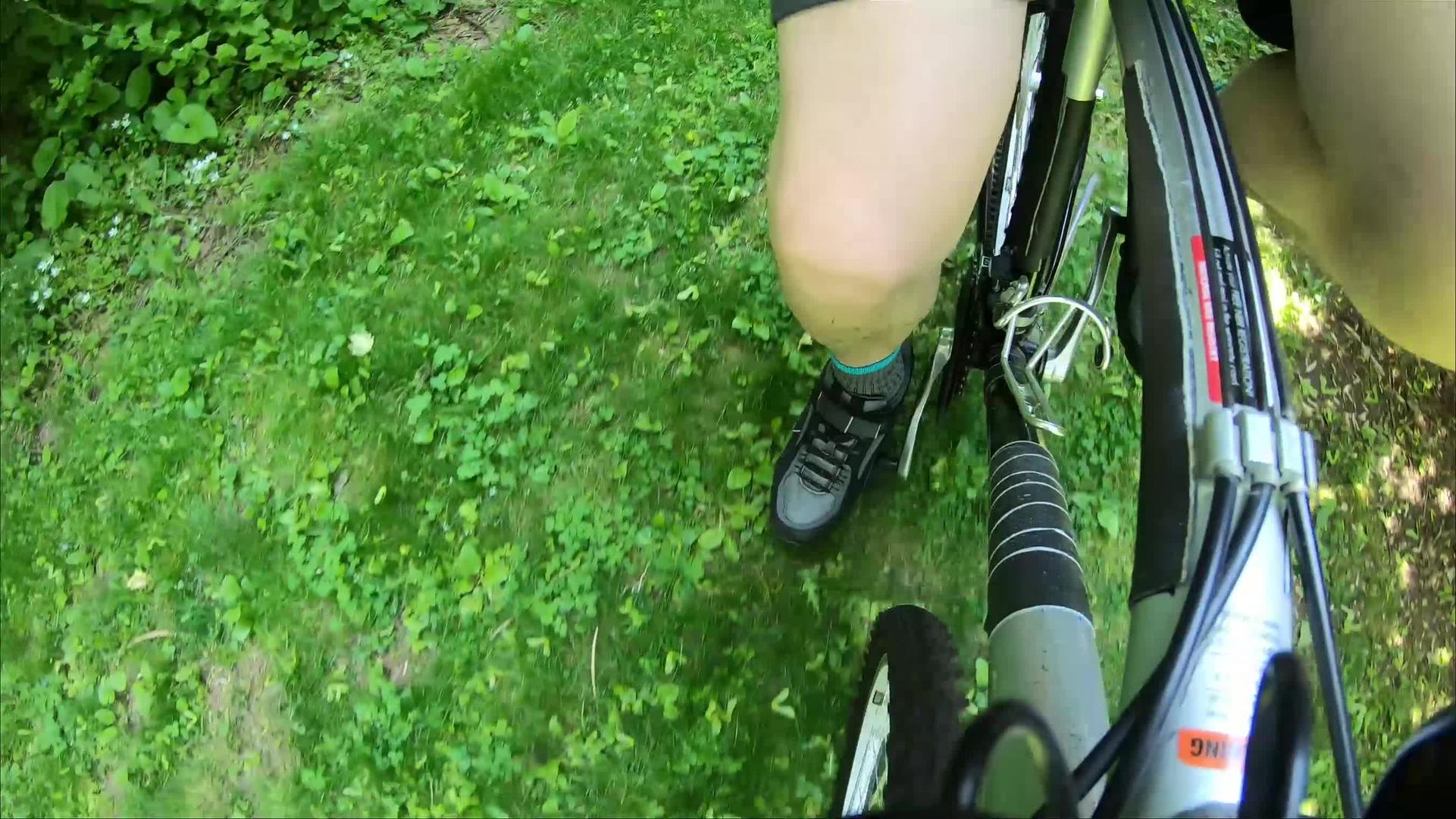 在草地上骑自行车视频的预览图