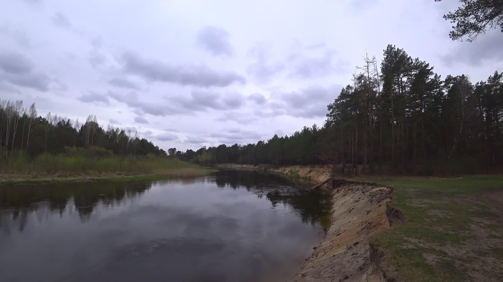 河流和森林可以在秋天或春天的阴云中看到视频的预览图