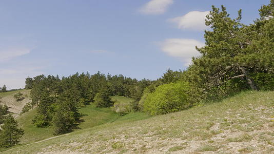 在阳光明媚的日子里手持自然山的镜头包括绿角和树木视频的预览图