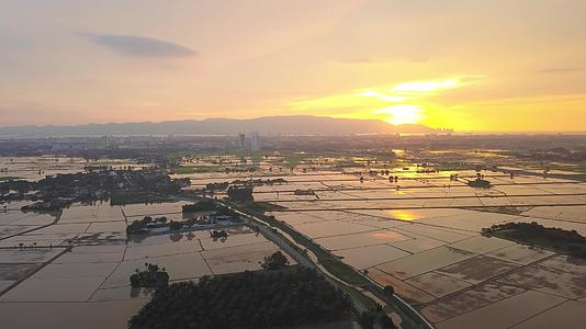 美丽的稻田夕阳风光视频的预览图
