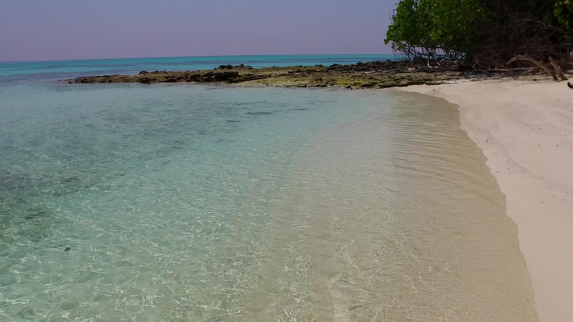 海滩上的野生生物是由海浪附近的水蓝色水流形成的有白色的沙子背景视频的预览图