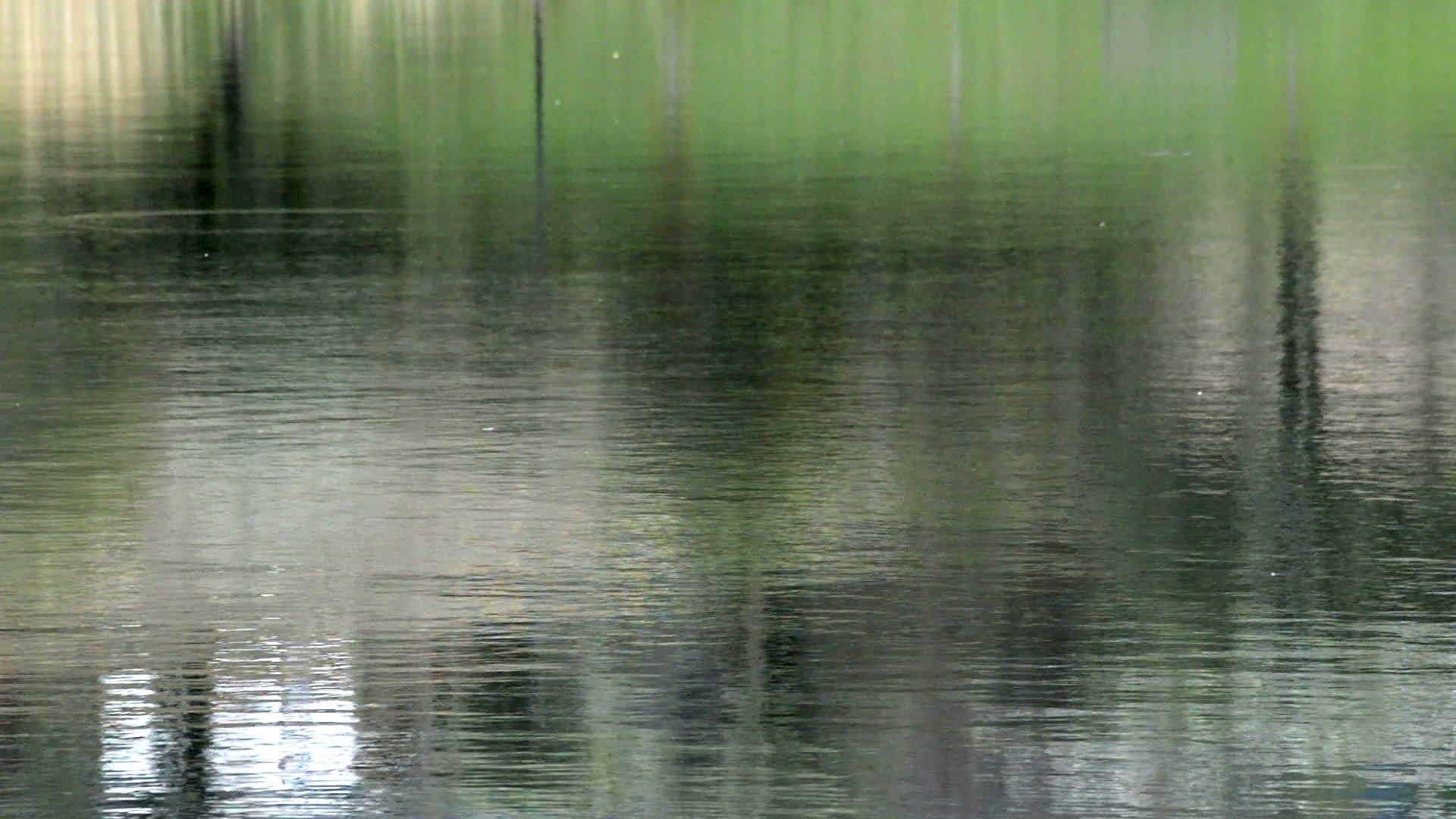 涟漪湖和树木剪影制作垂直线图案视频的预览图