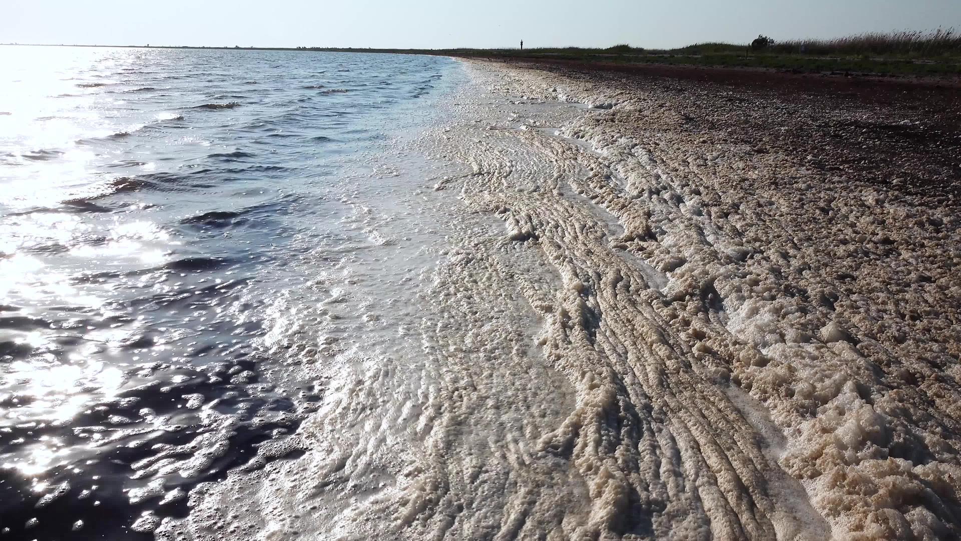 水面脏泡沫河口营养丰富的水环境问题图兹洛夫斯基视频的预览图