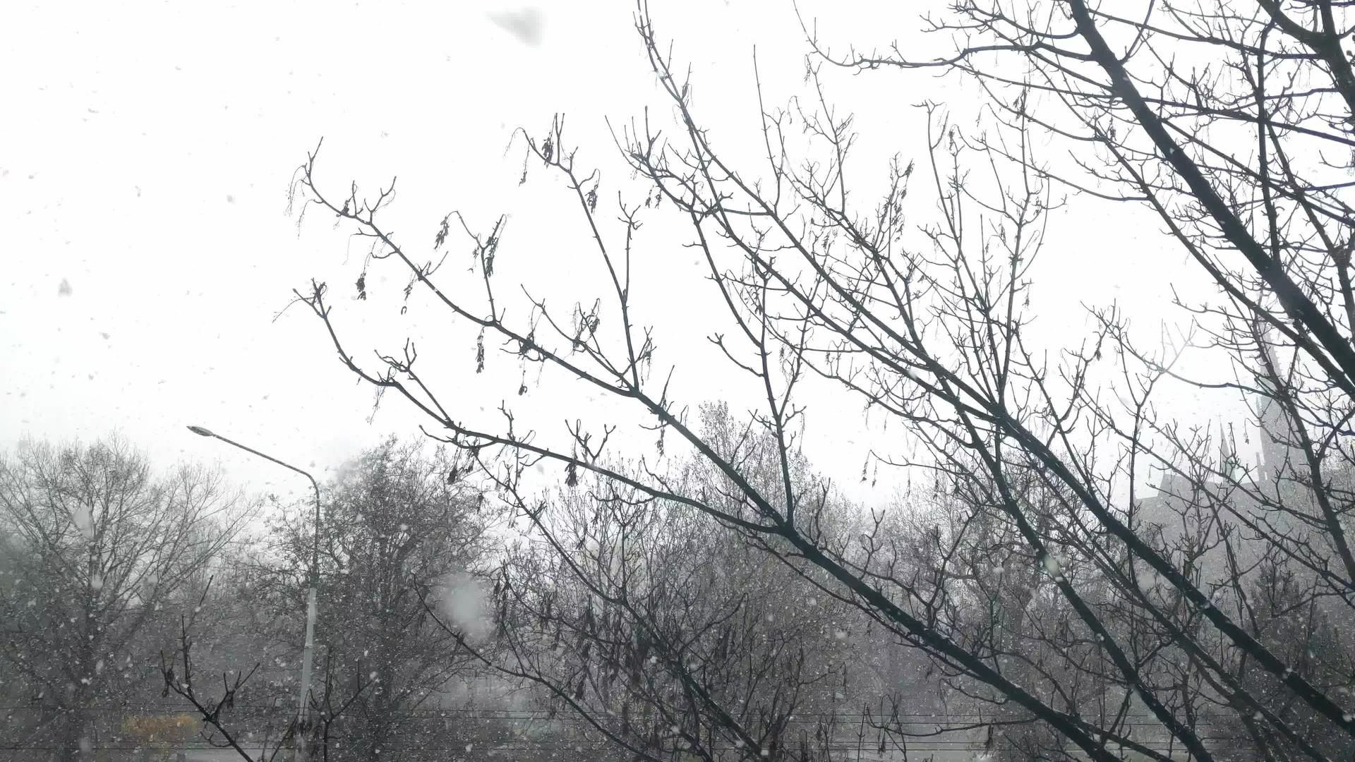 春天下雪时的风景视频的预览图