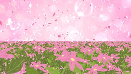 唯美的动态温馨花海粉色大气粒子光晕舞台背景视频视频的预览图
